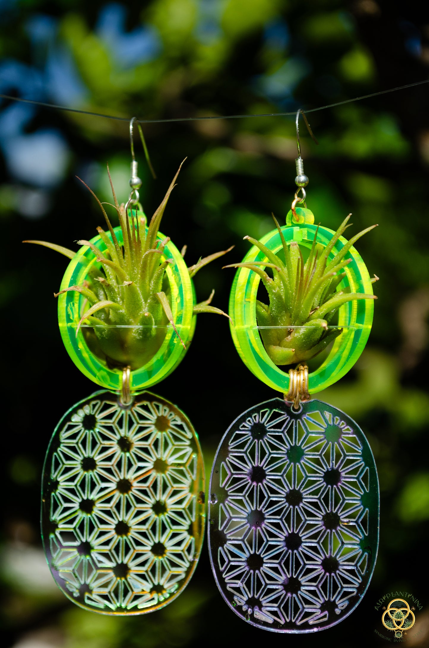 Air Plant Orb Earrings ~ Pineapple ~ Blacklight Holographic ~ Lasercut Original Design