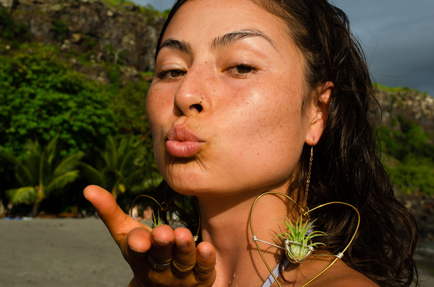 Air Plant Hoop Earrings Heart, Moon, Octagon