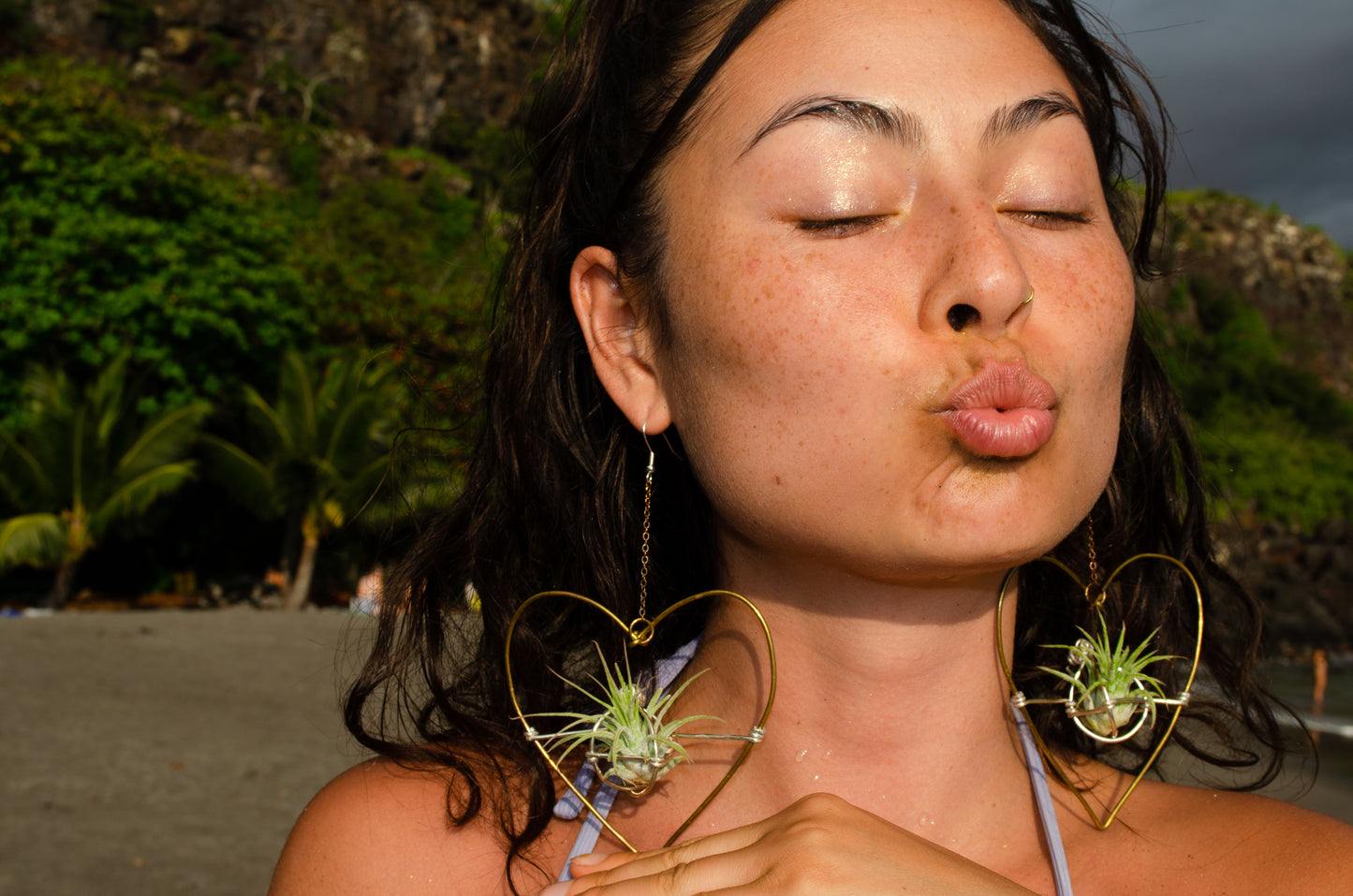 Air Plant Hoop Earrings Heart, Moon, Octagon