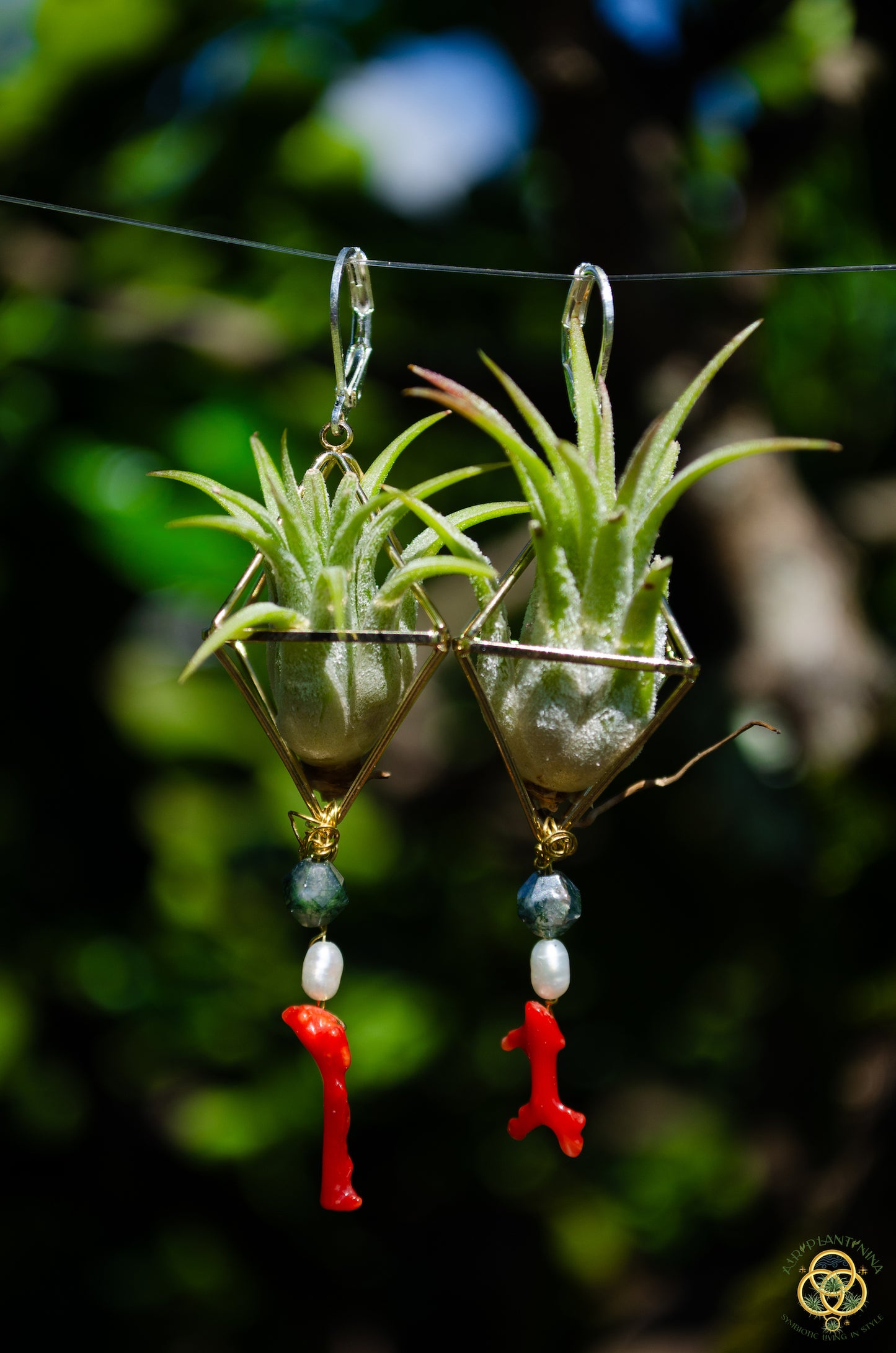Buddha Air Plant Earrings ~ Diamond Octahedron Earrings