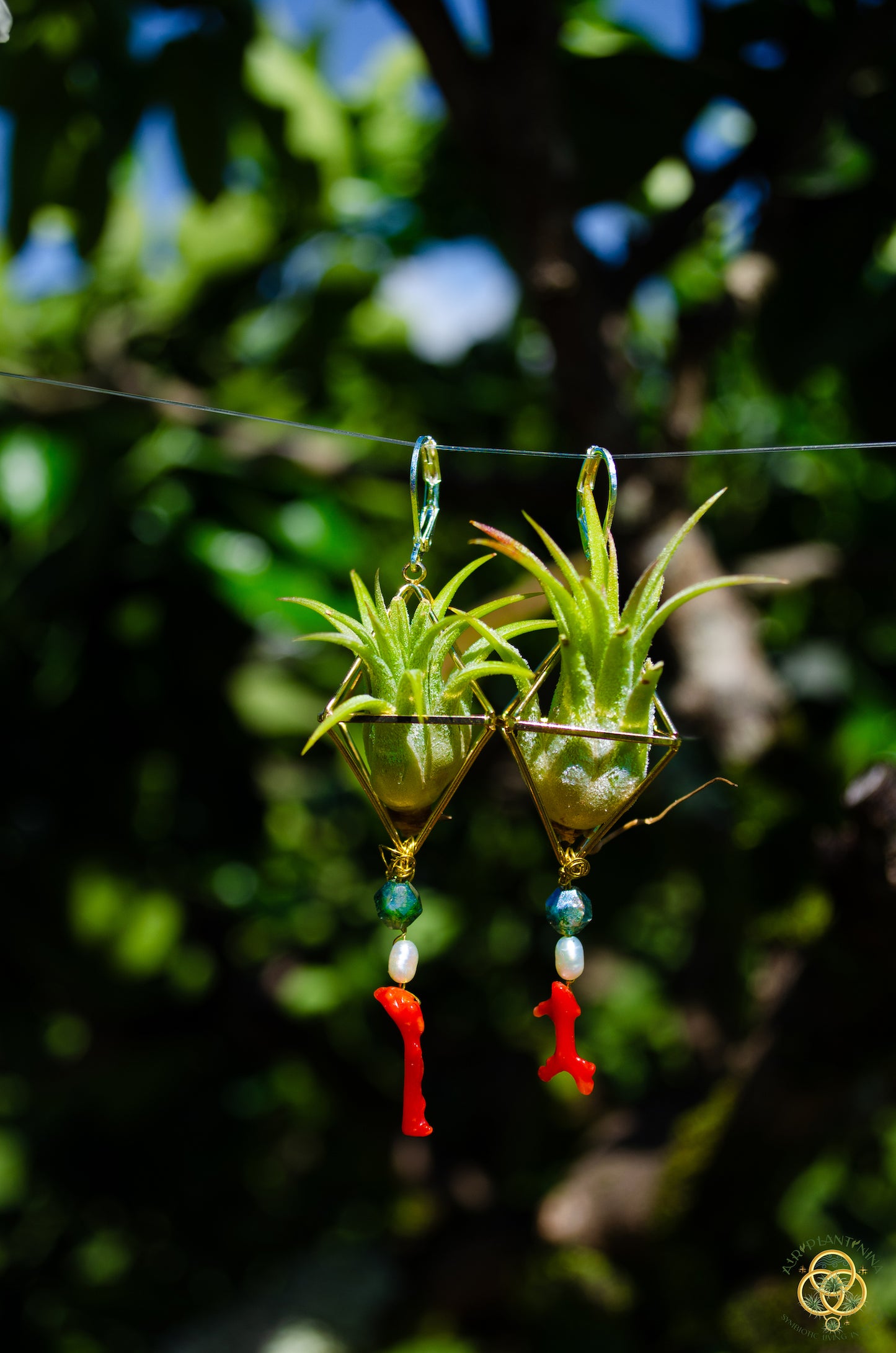 Buddha Air Plant Earrings ~ Diamond Octahedron Earrings