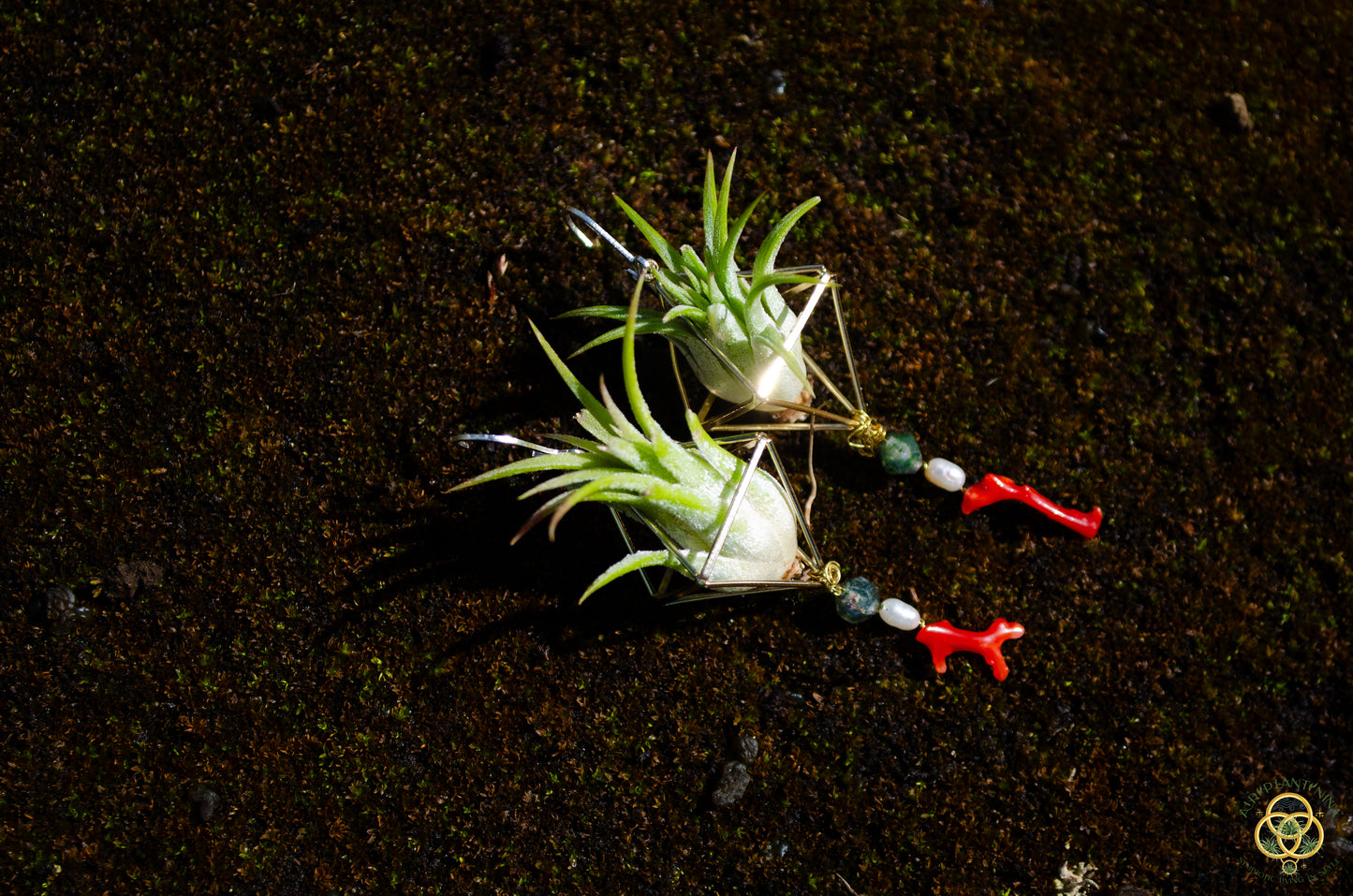 Buddha Air Plant Earrings ~ Diamond Octahedron Earrings