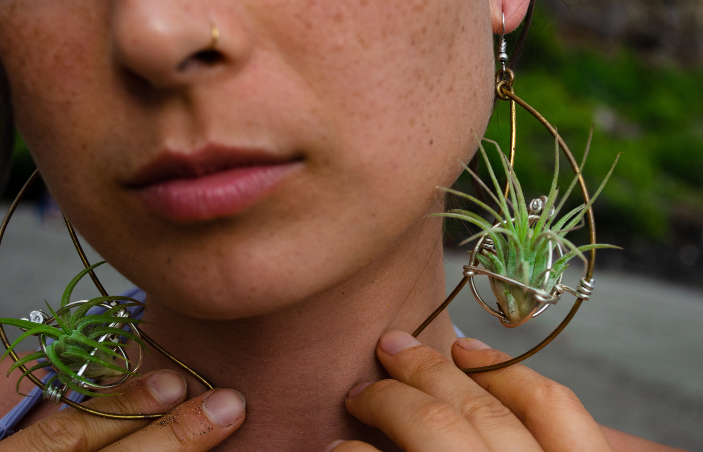 Air Plant Hoop Earrings Heart, Moon, Octagon