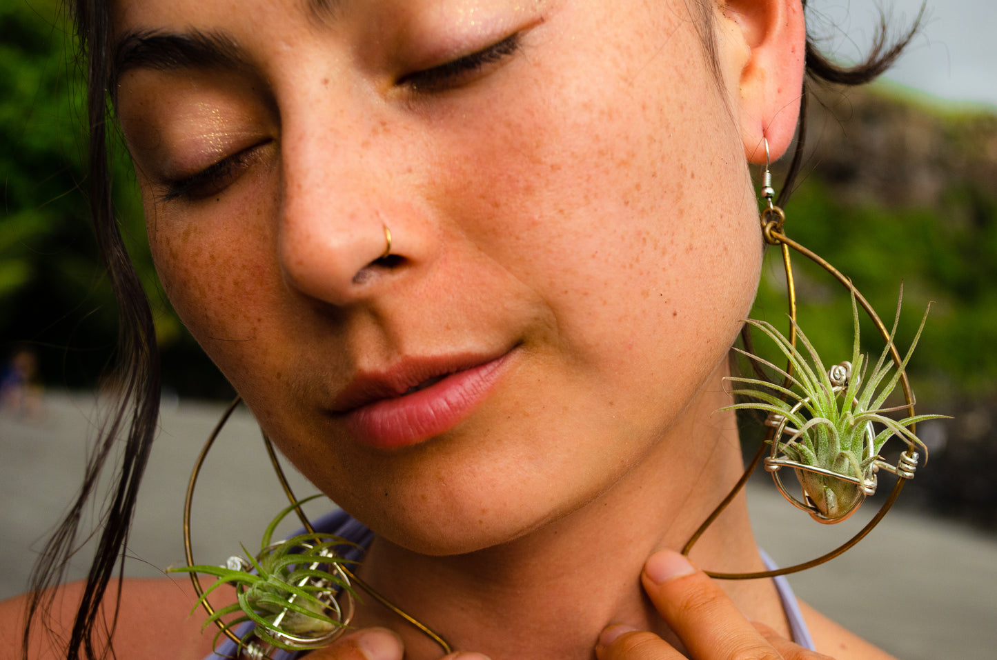 Air Plant Hoop Earrings Heart, Moon, Octagon