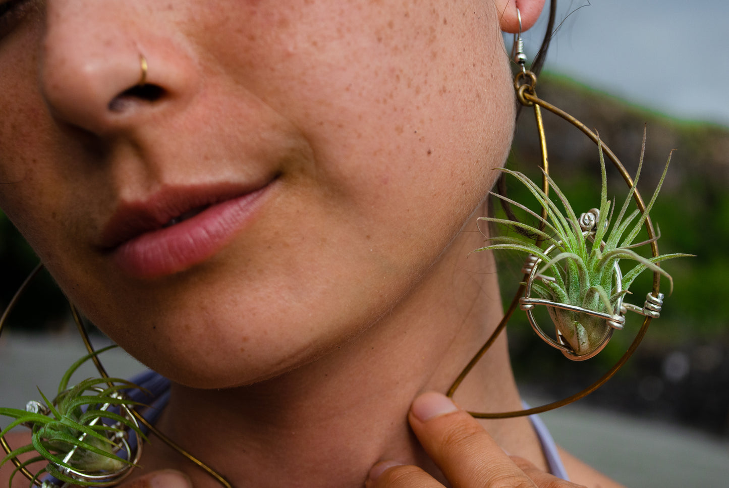Air Plant Hoop Earrings Heart, Moon, Octagon