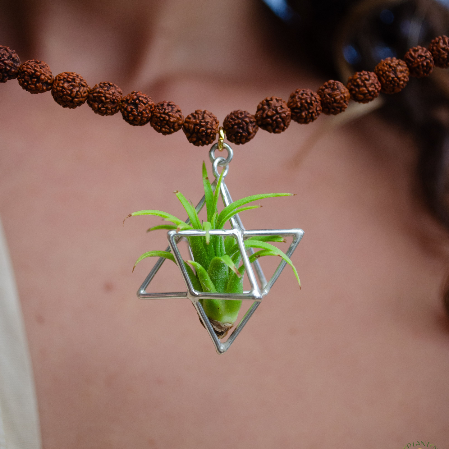 24K Gold Merkaba Air Plant Terrarium Monk Necklace ~ Buddha Prayer Rudraksha Beads