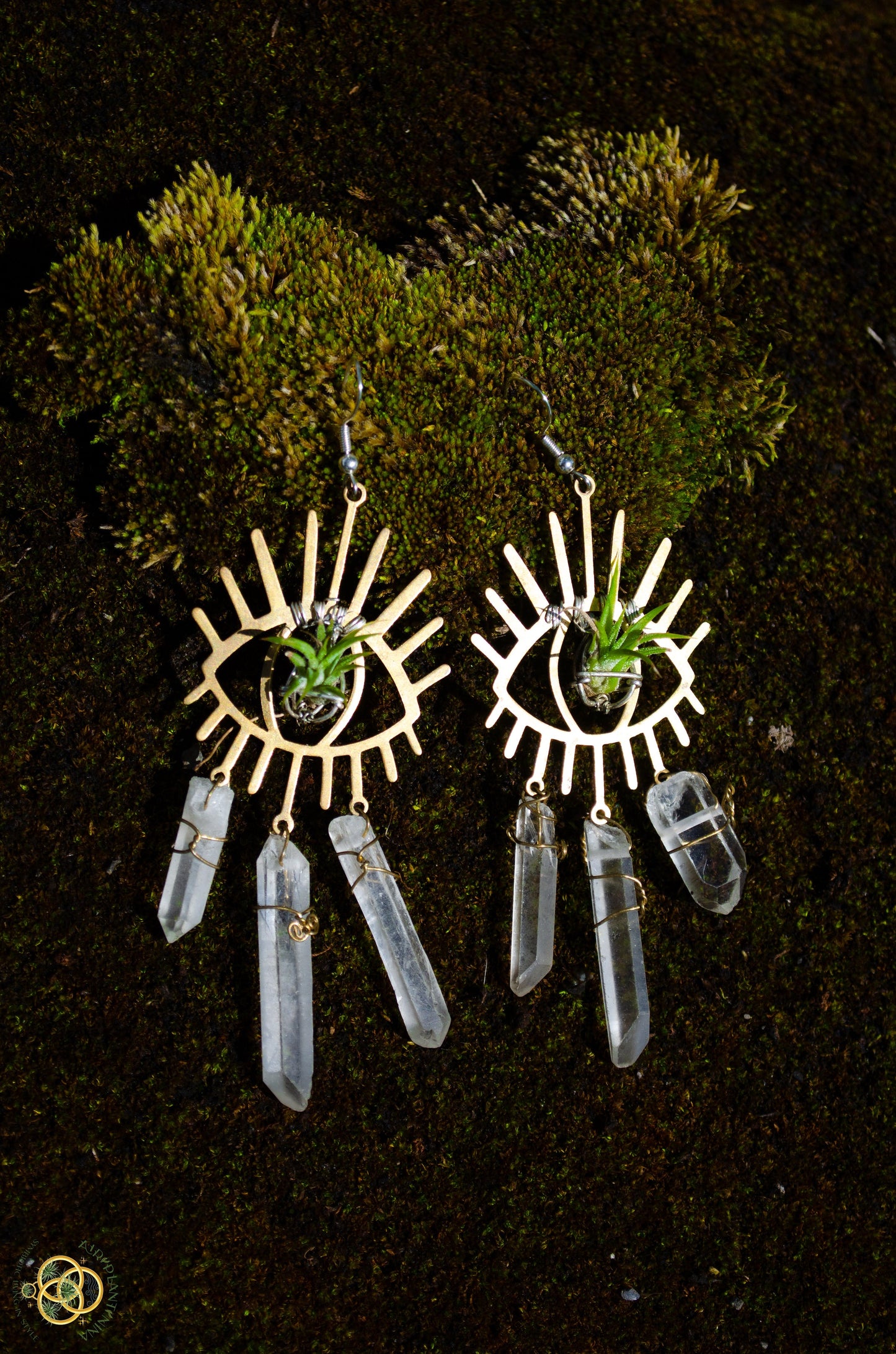 Third Eye-Ris Air Plant Earrings