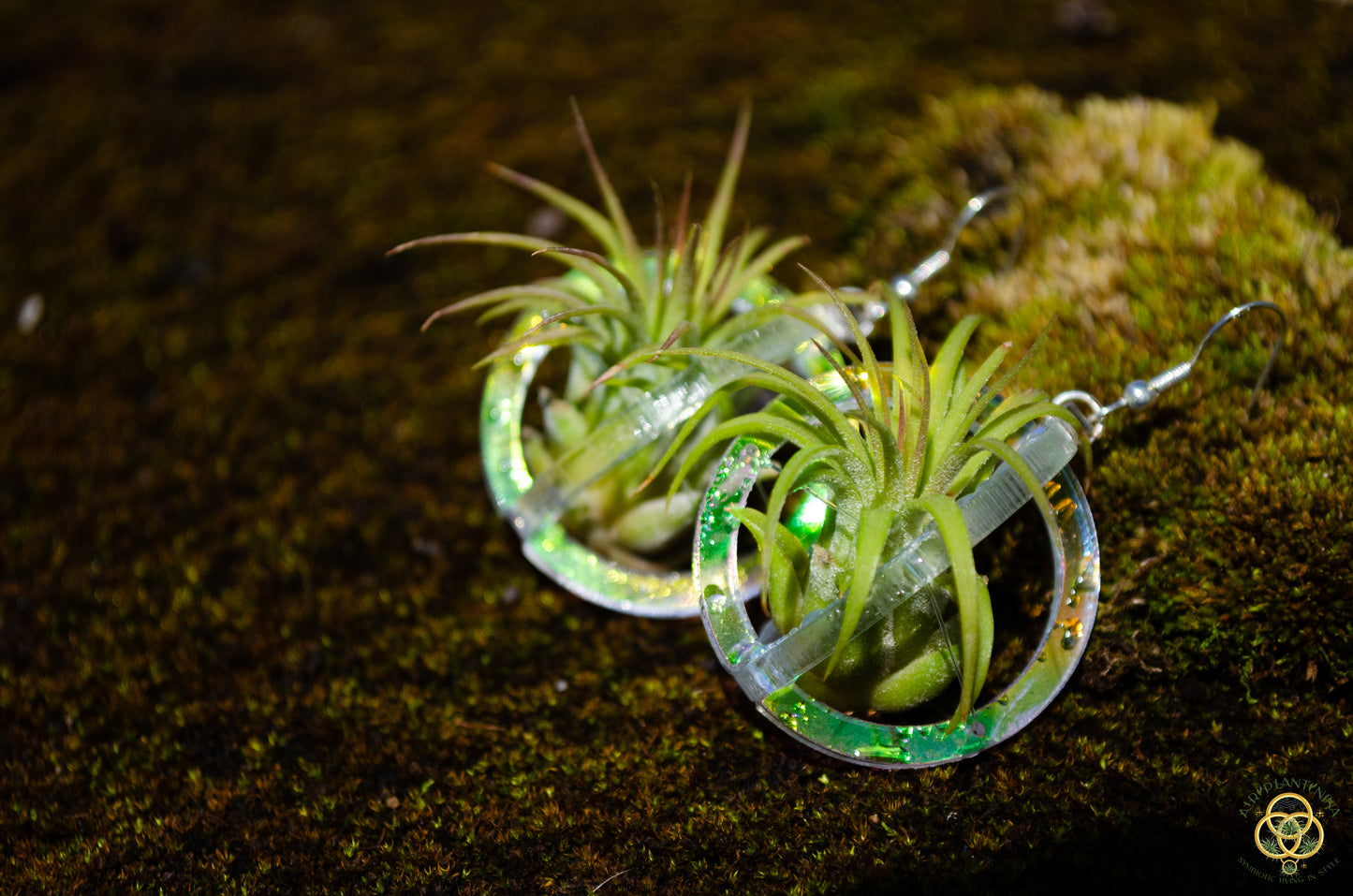 Air Plant Orb Earrings Blacklight Holographic ~ Lasercut Original Design