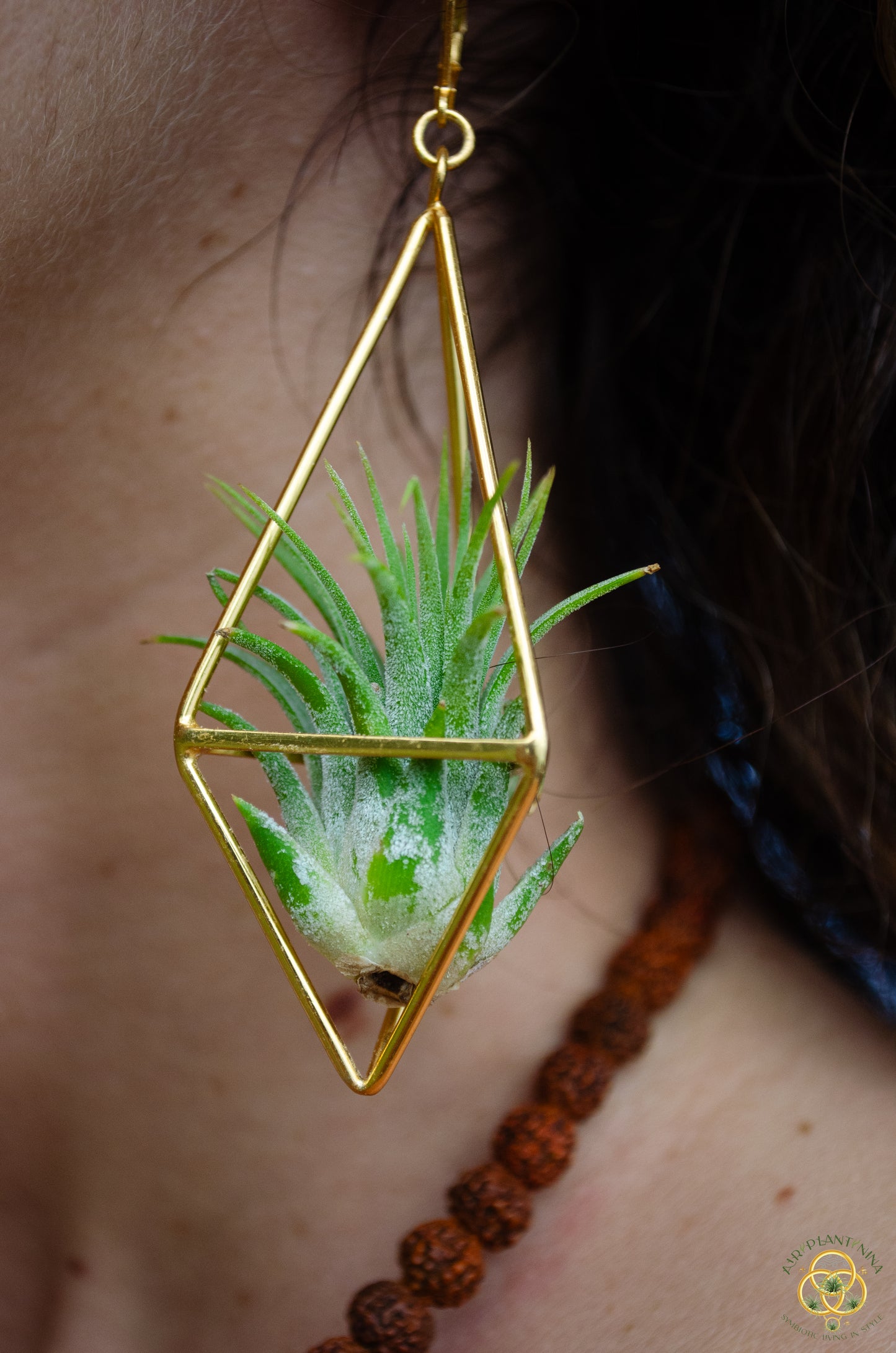 24K Gold Long Tetrahedron Air Plant Earrings ~ Minimalist Geometric Earrings