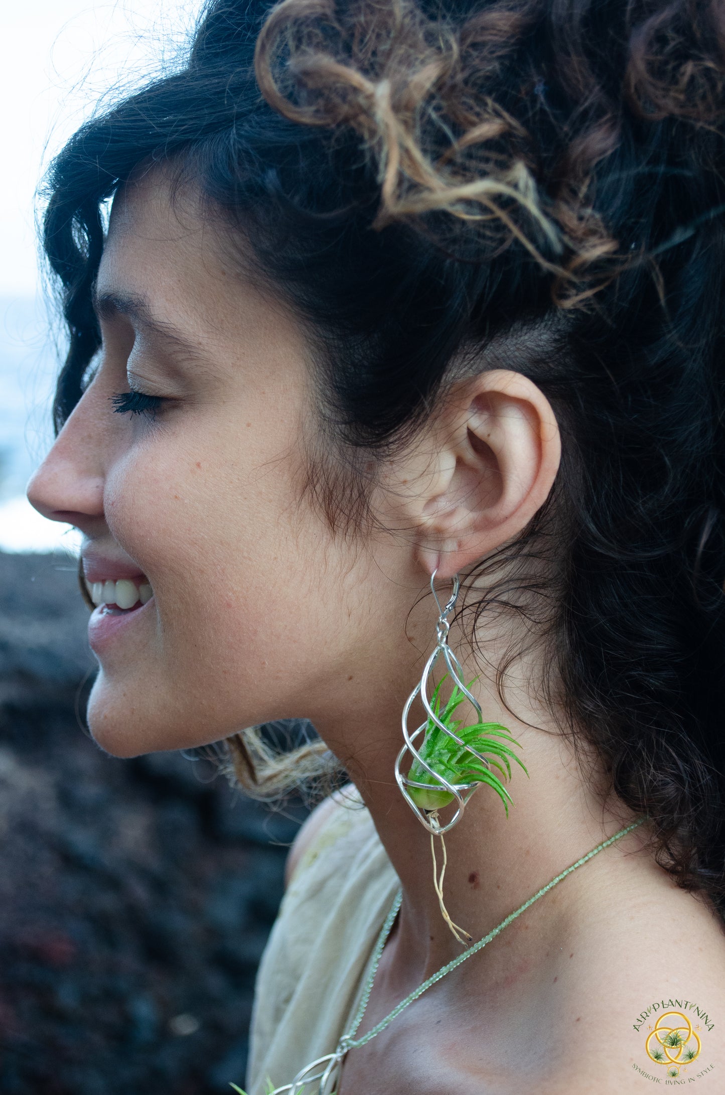 Sterling Silver Spiral Spindel Air Plant Earrings ~ Luxury Geometric Earrings