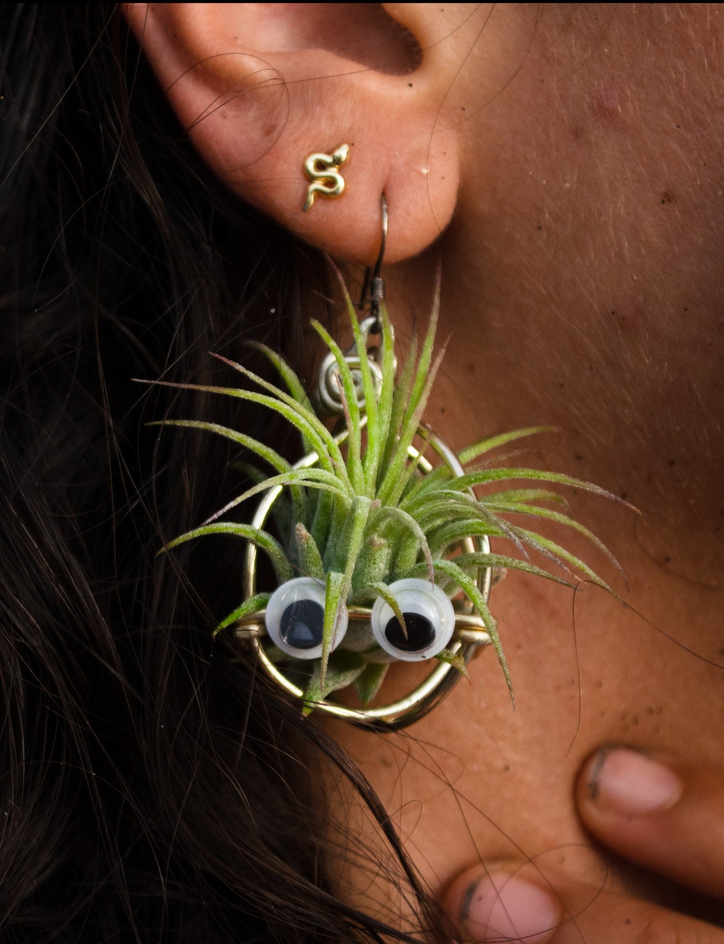Kawaii Google Eyes Air Plant Character Earrings +Totoro Character Air Plant Earrings