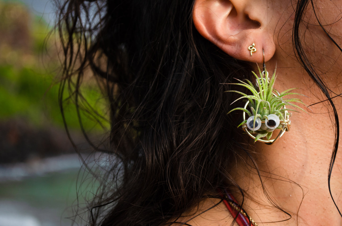 Kawaii Google Eyes Air Plant Character Earrings +Totoro Character Air Plant Earrings