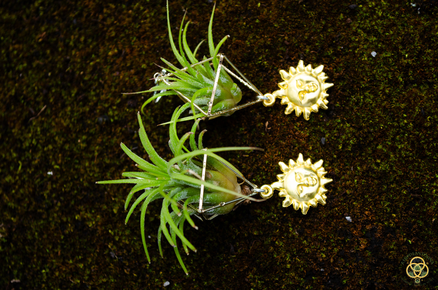Golden Sun Charm Air Plant Clip Earrings ~ Diamond Octahedron Earrings