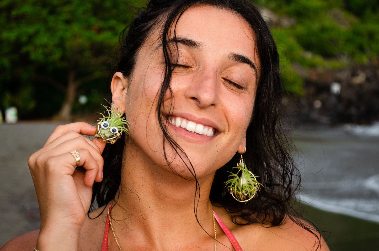 Kawaii Google Eyes Air Plant Character Earrings +Totoro Character Air Plant Earrings