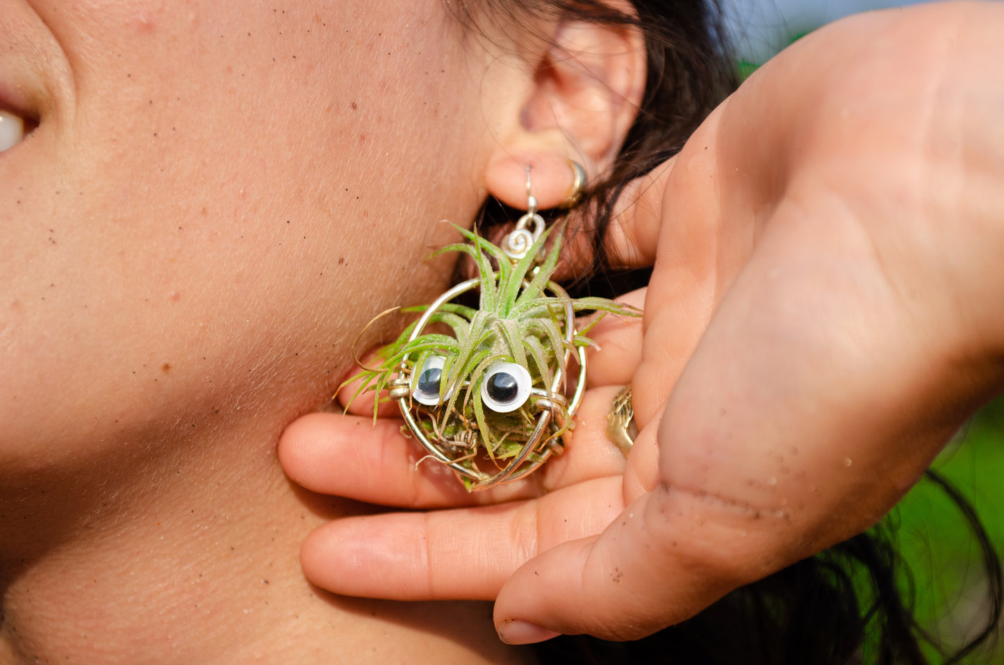 Kawaii Google Eyes Air Plant Character Earrings +Totoro Character Air Plant Earrings