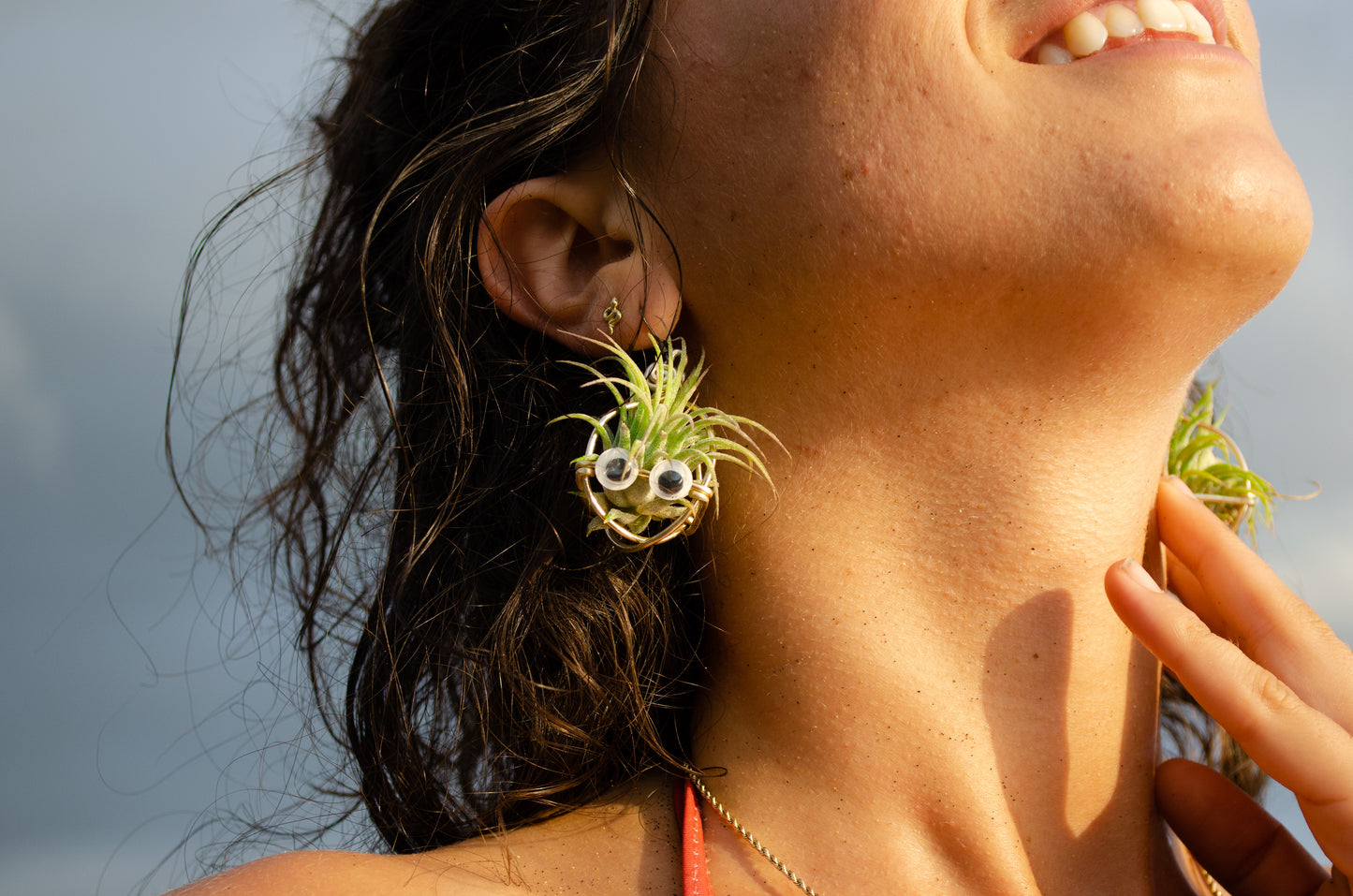 Kawaii Google Eyes Air Plant Character Earrings +Totoro Character Air Plant Earrings