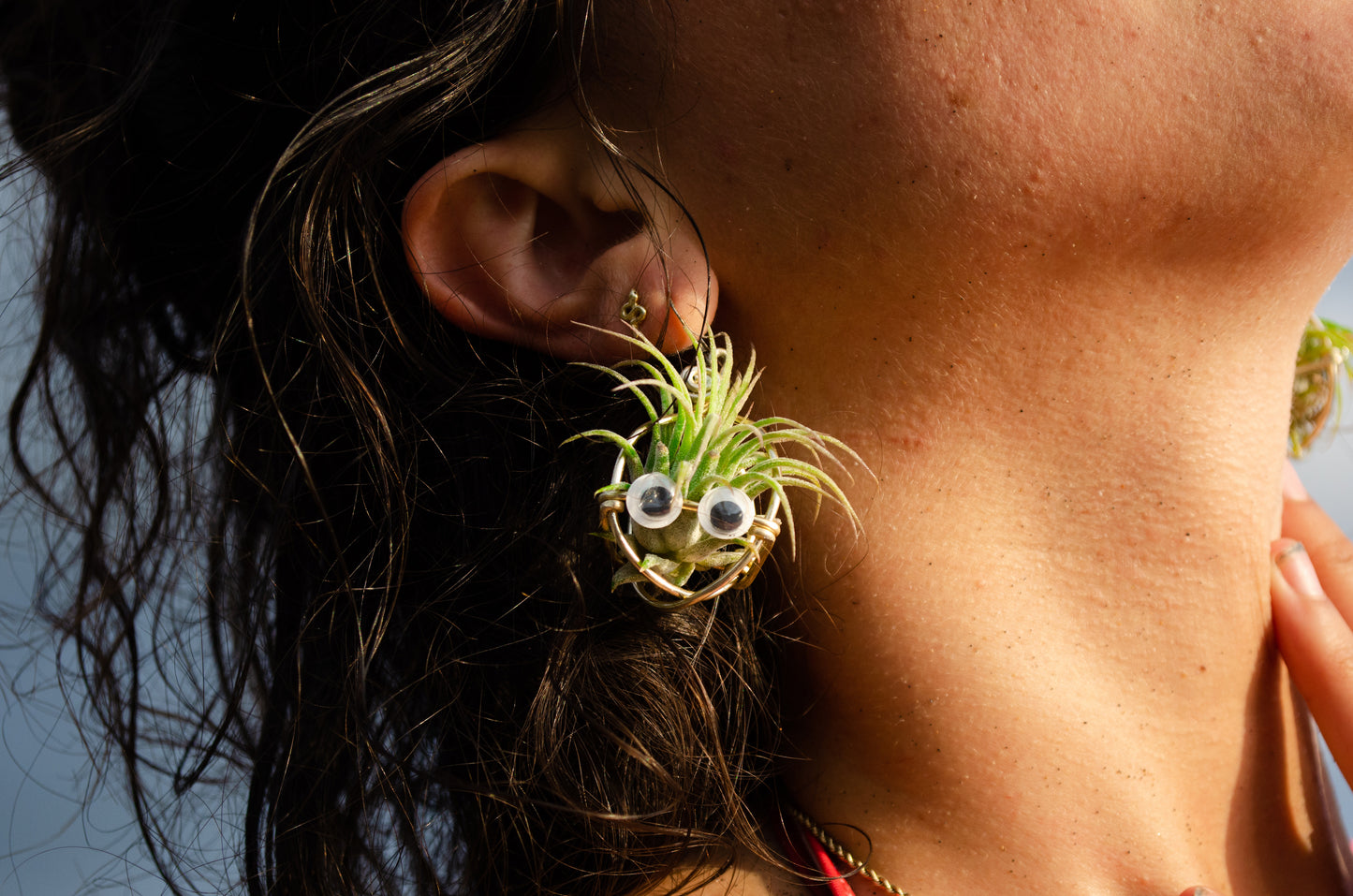 Kawaii Google Eyes Air Plant Character Earrings +Totoro Character Air Plant Earrings