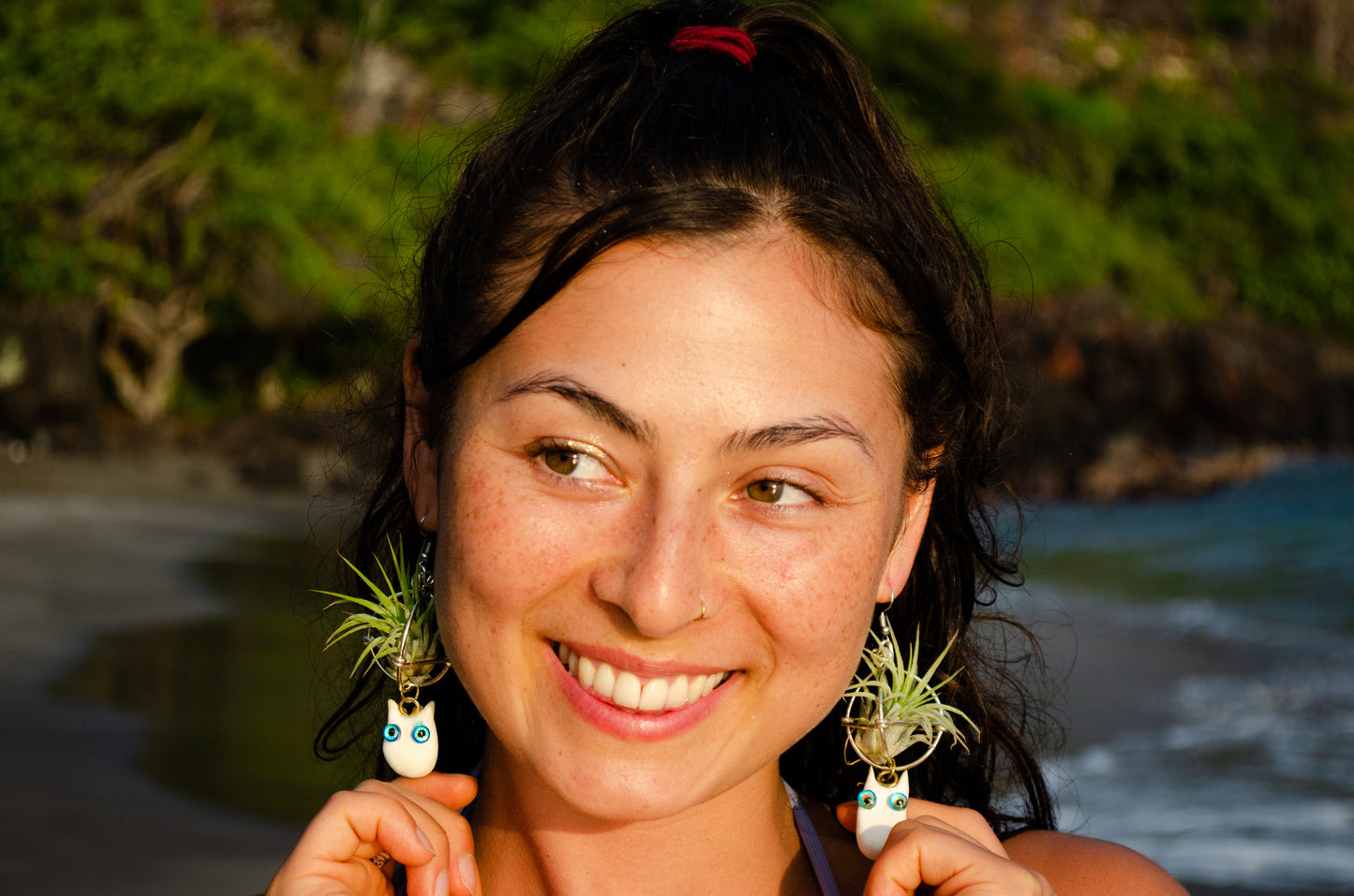 Kawaii Google Eyes Air Plant Character Earrings +Totoro Character Air Plant Earrings