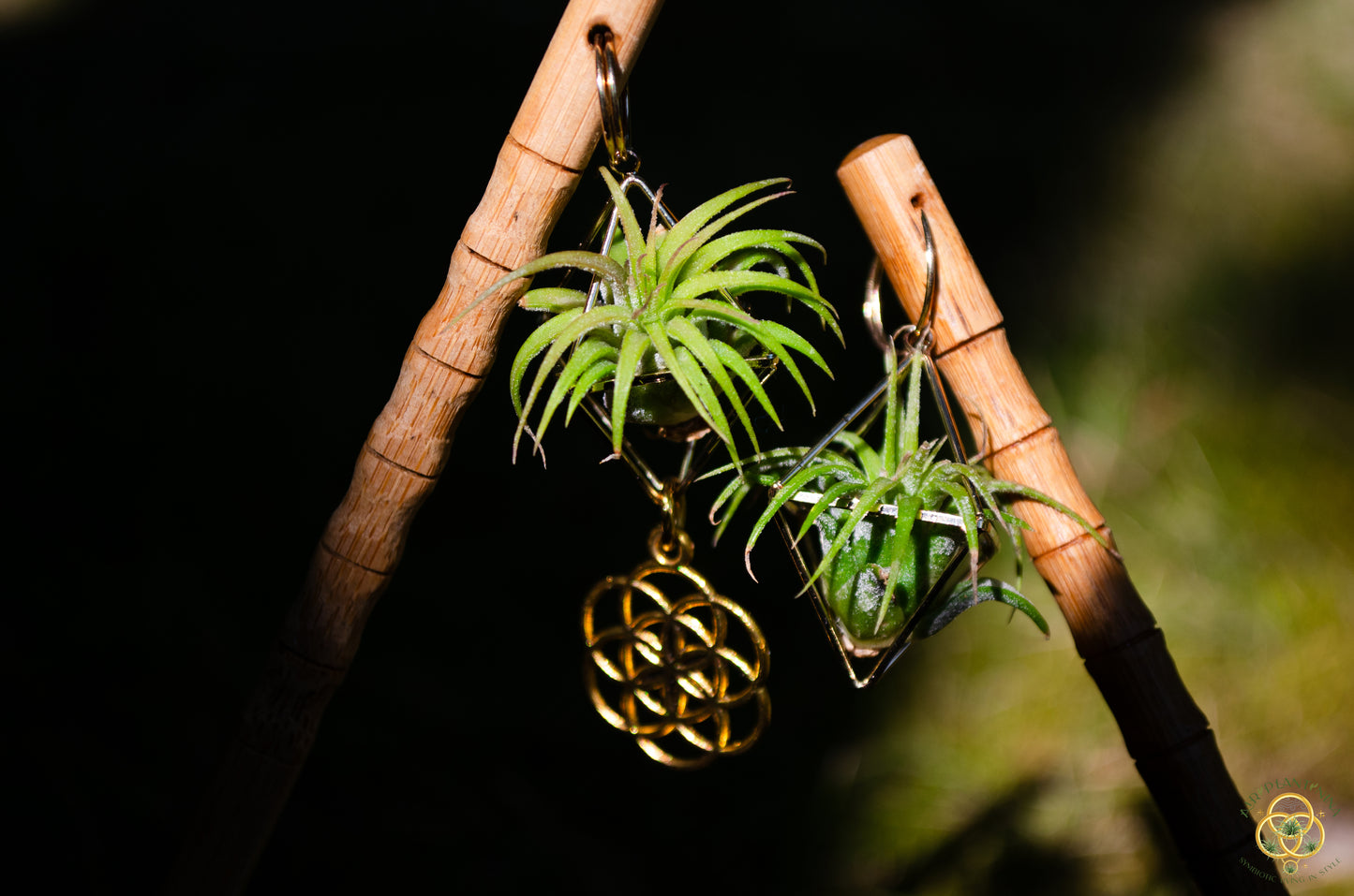 Air Plant Hair Sticks ~ Chopsticks for Hair