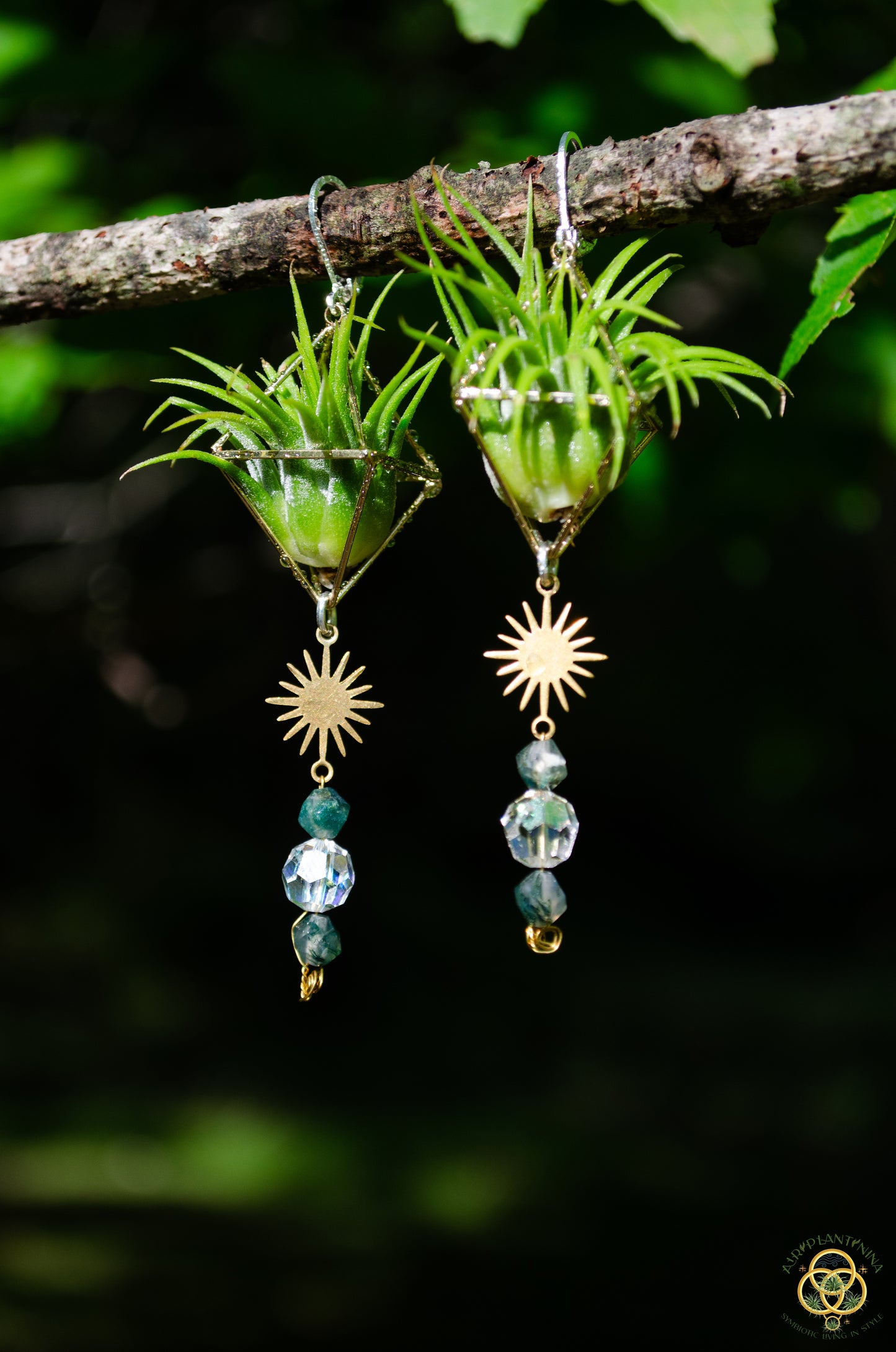 Sun Feather Crystal Air Plant Earrings ~ Diamond Octahedron Earrings