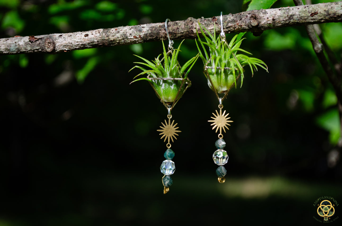 Sun Feather Crystal Air Plant Earrings ~ Diamond Octahedron Earrings