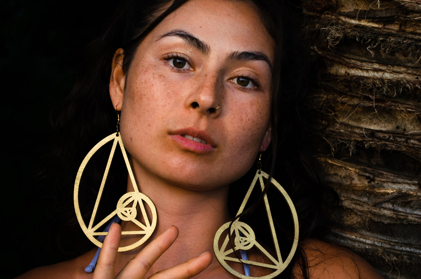 Golden Ratio Fibonacchi Wooden Earrings