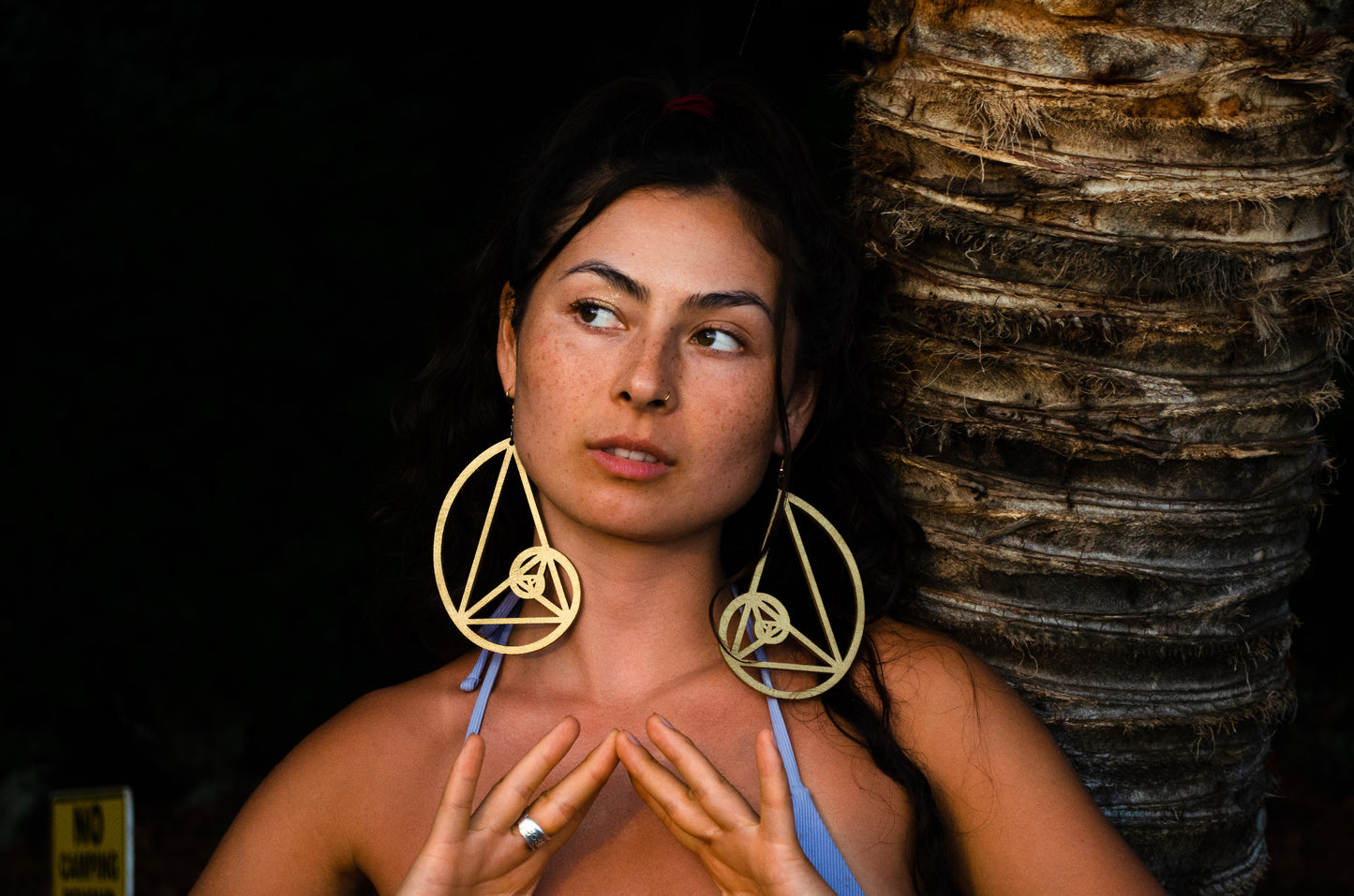 Golden Ratio Fibonacchi Wooden Earrings