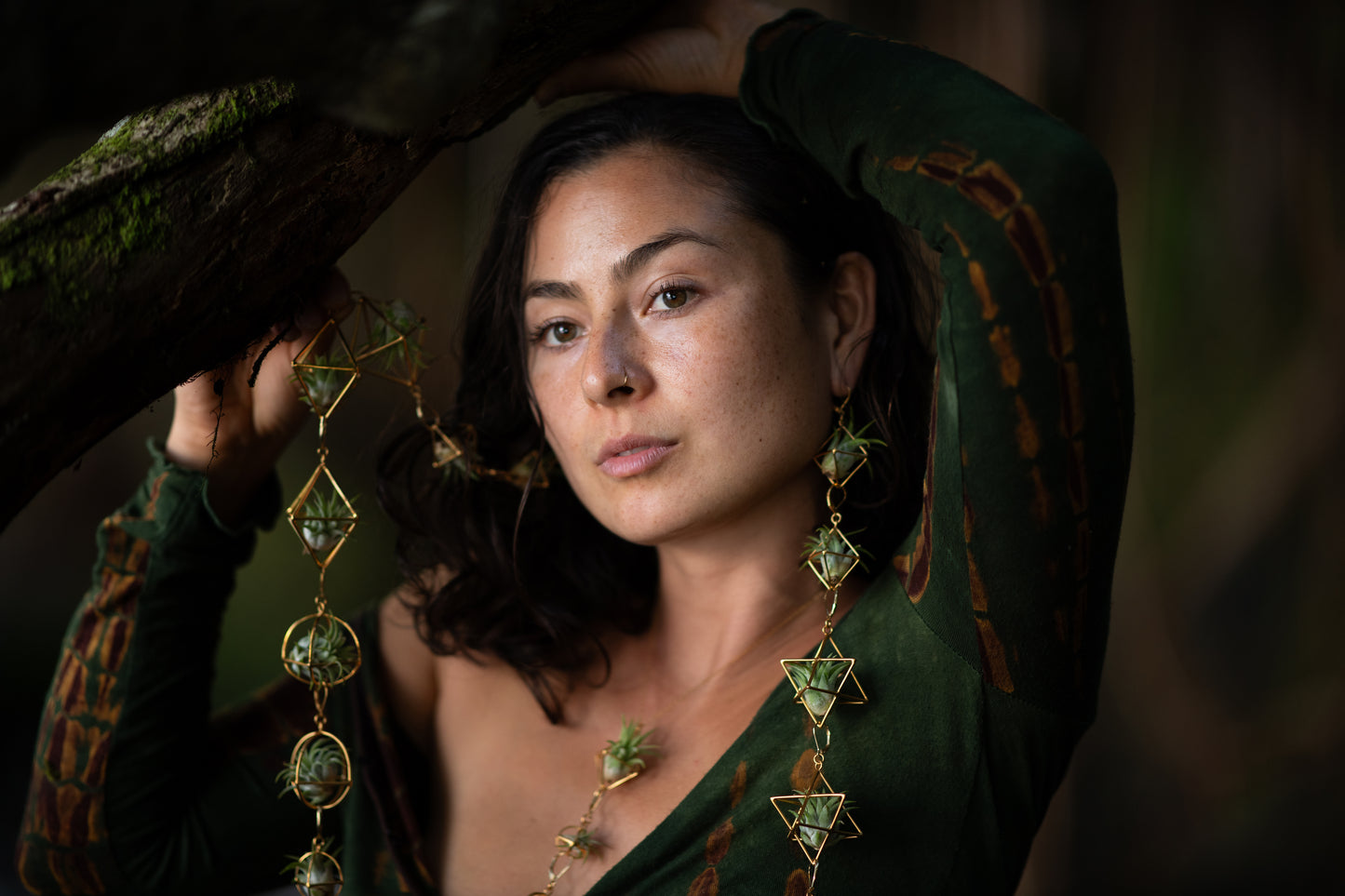 REORDER WHOLESALE PACK: 10 PAIRS - LUXURY 24K GOLD + STERLING SILVER AIR PLANT EARRINGS WHOLESALE PACKAGE x 50% DISCOUNT