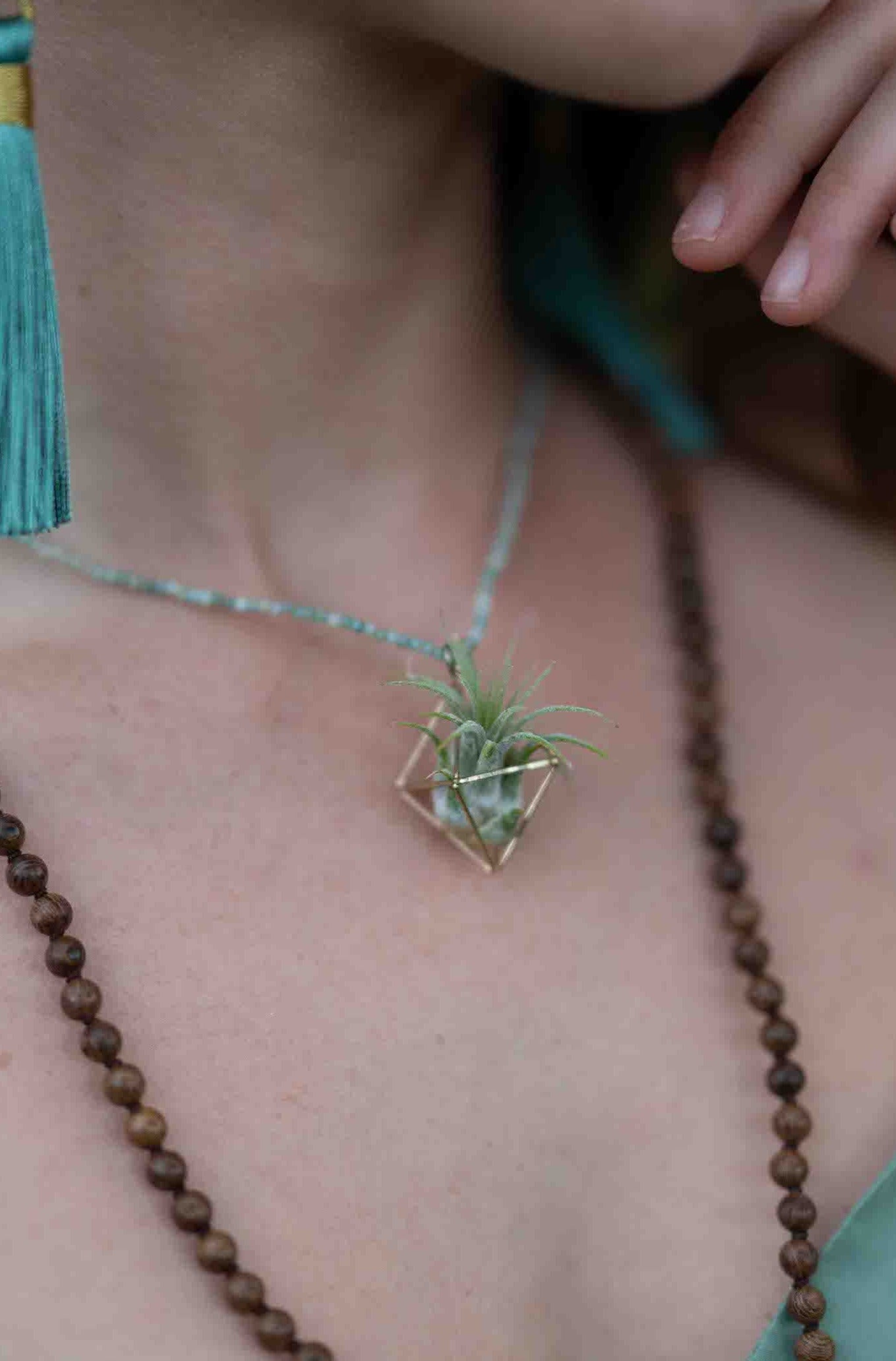 Gemstone Air Plant Pendant