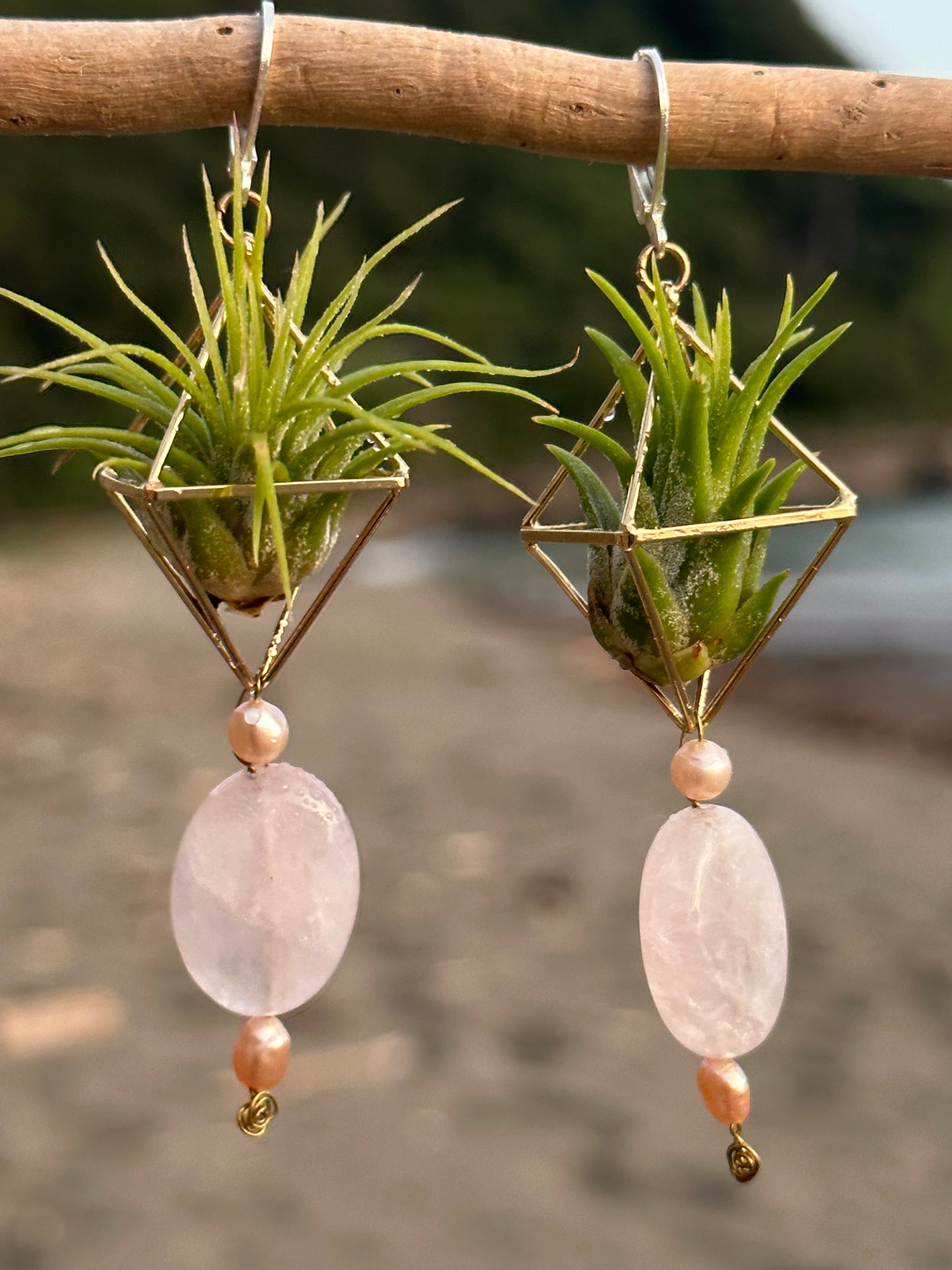 Rose Quartz Air Plant Earrings ~ Diamond Octahedron Earrings