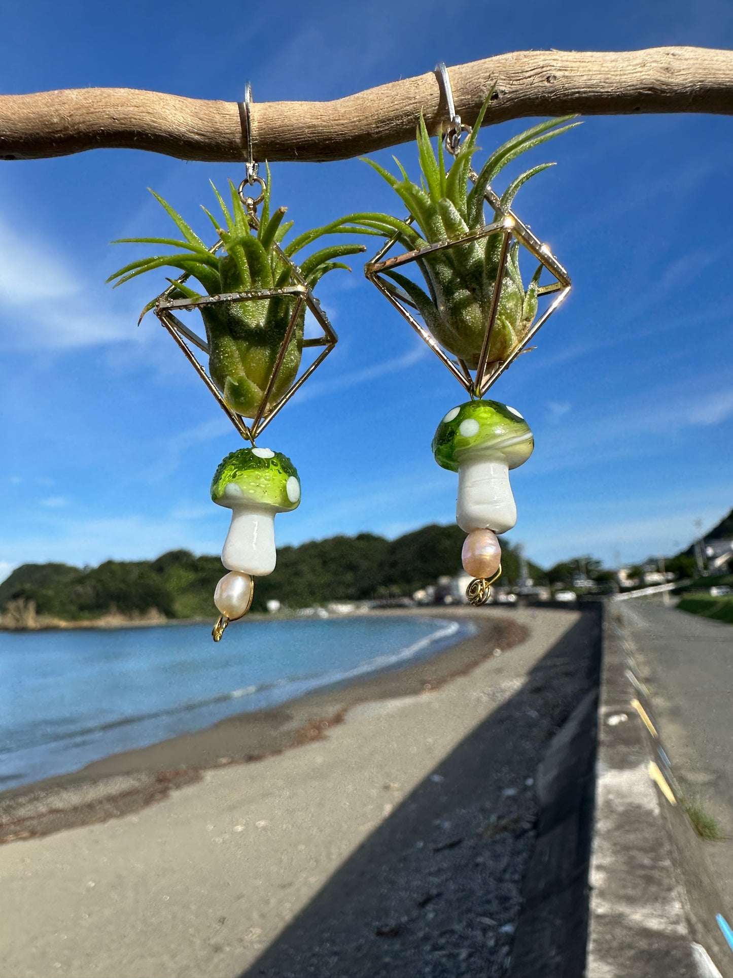 Glass Mushroom Air Plant Earrings ~ Diamond Octahedron Earrings