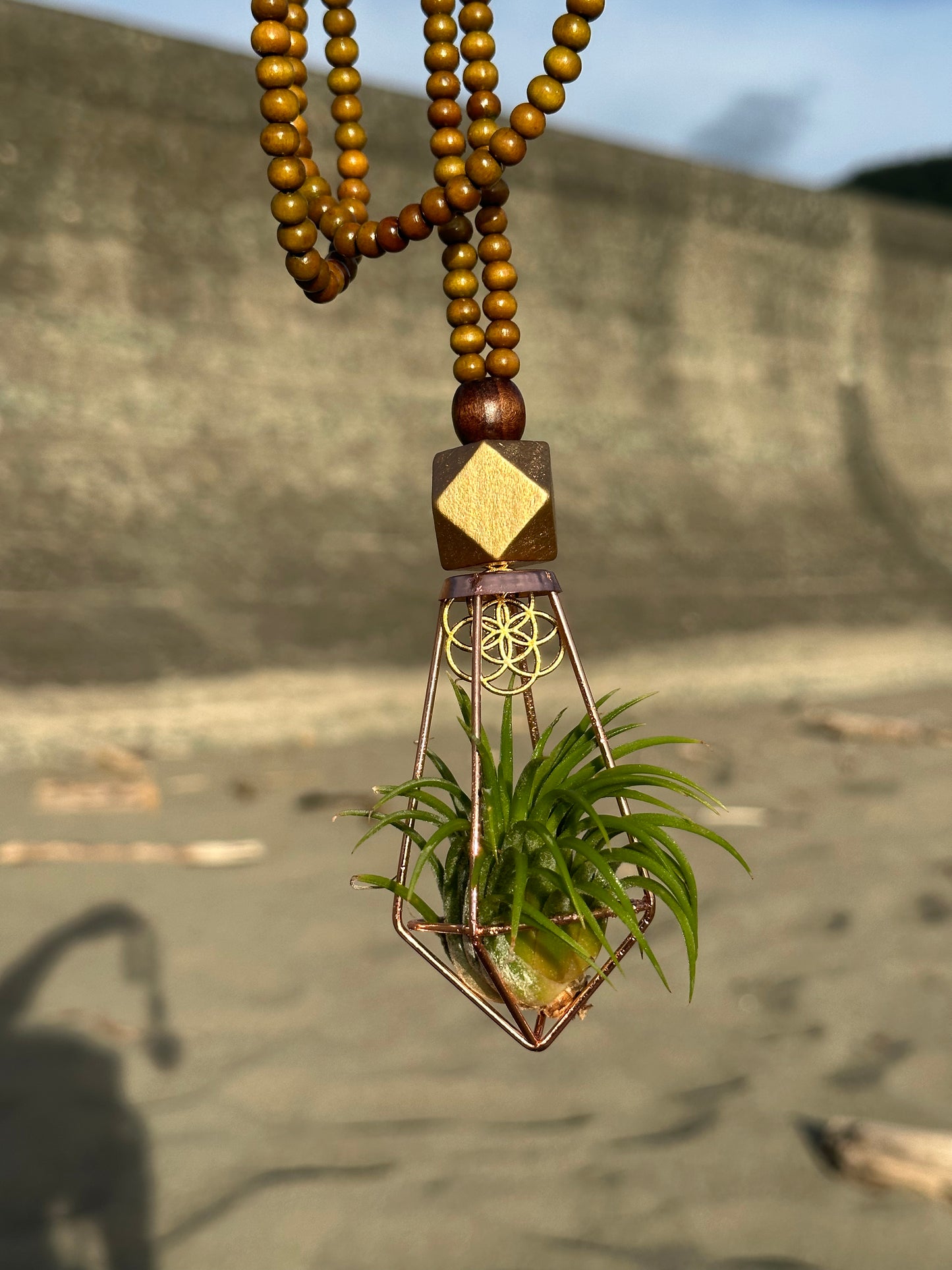 Air Plant Terrarium Sandalwood Bead Necklace ~ Buddha Monk Prayer Beads