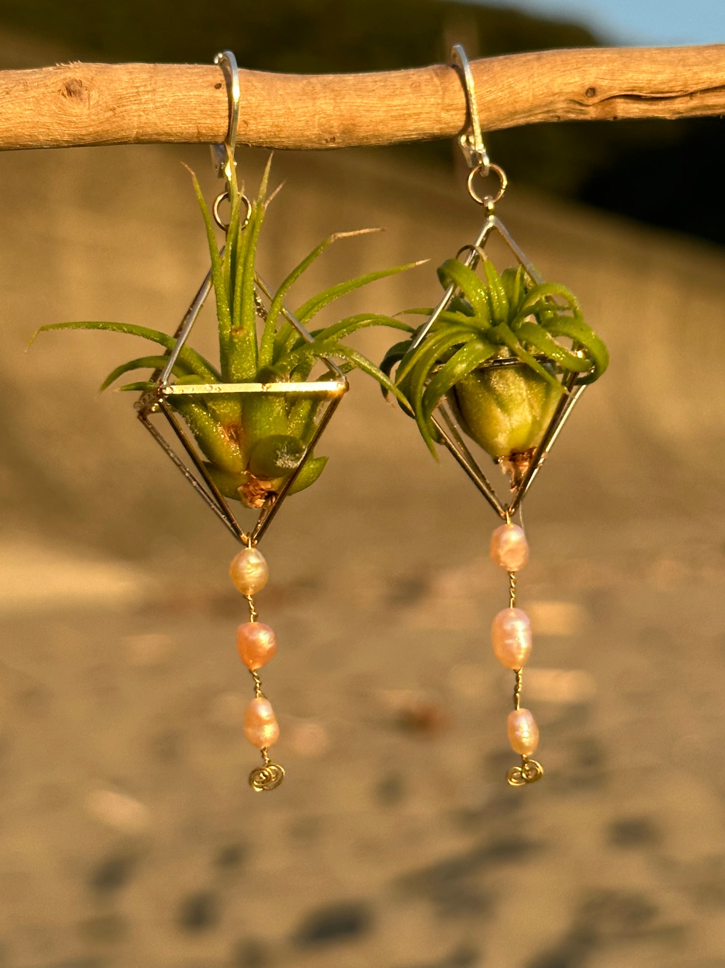 Pearl Dangle Air Plant Earrings