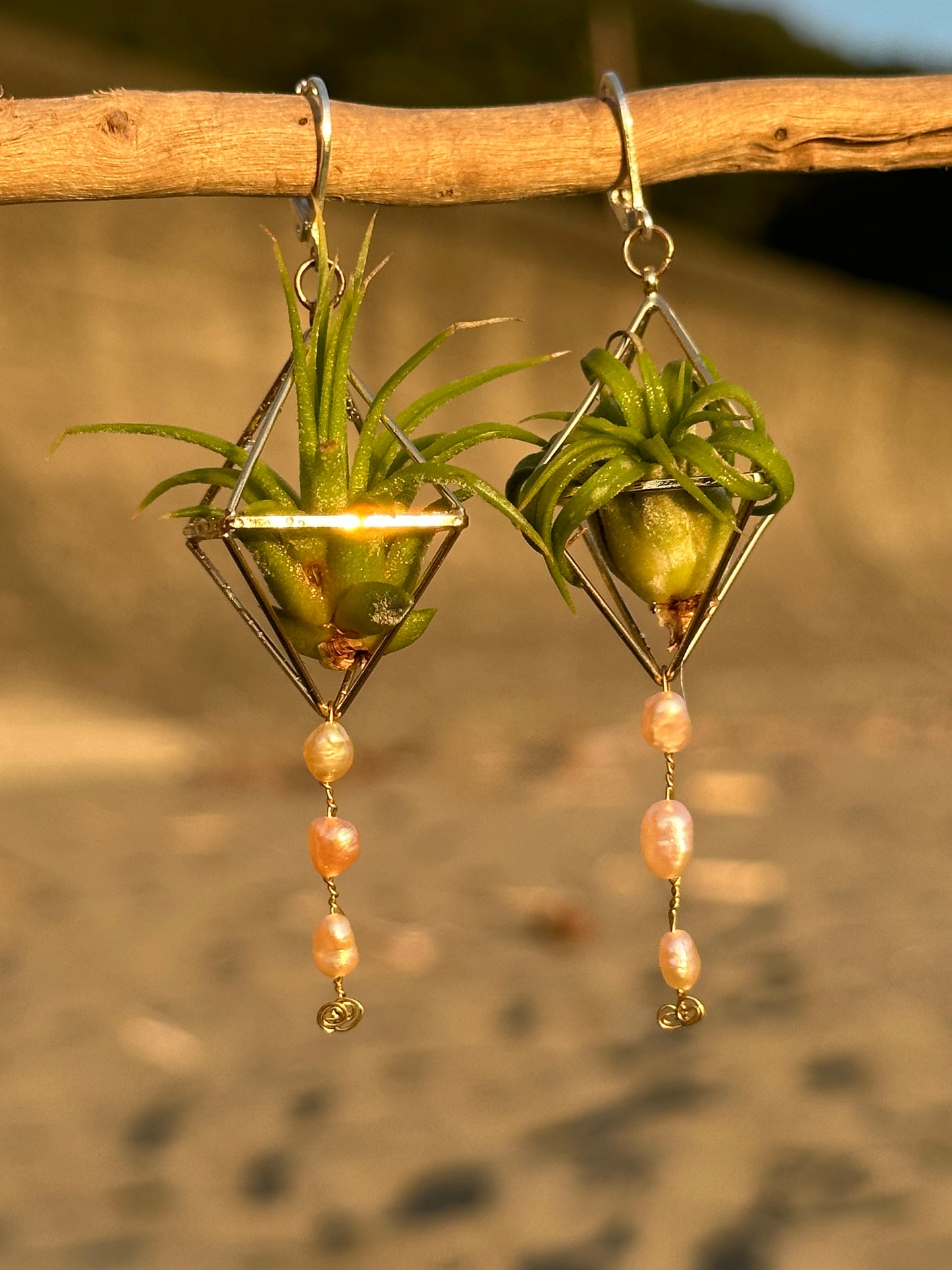 Pearl Dangle Air Plant Earrings
