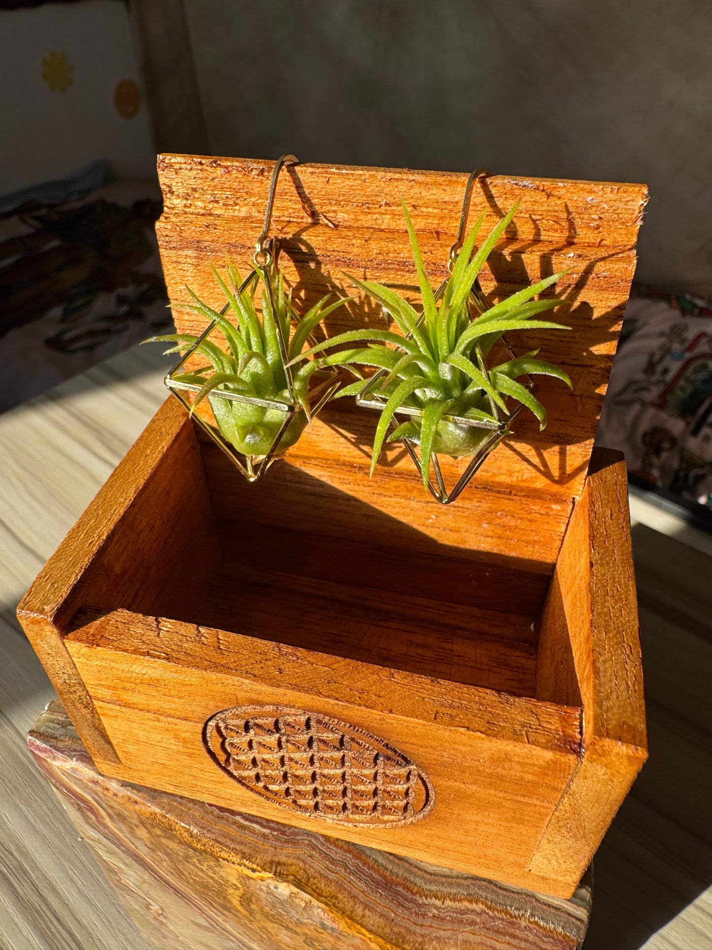 Air Plant Wooden Travel Box - Balinese Handcrafted - Flower of Life