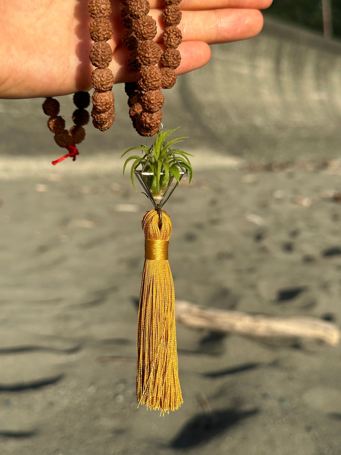 Rudraksha Monk Prayer Bead Air Plant Necklace