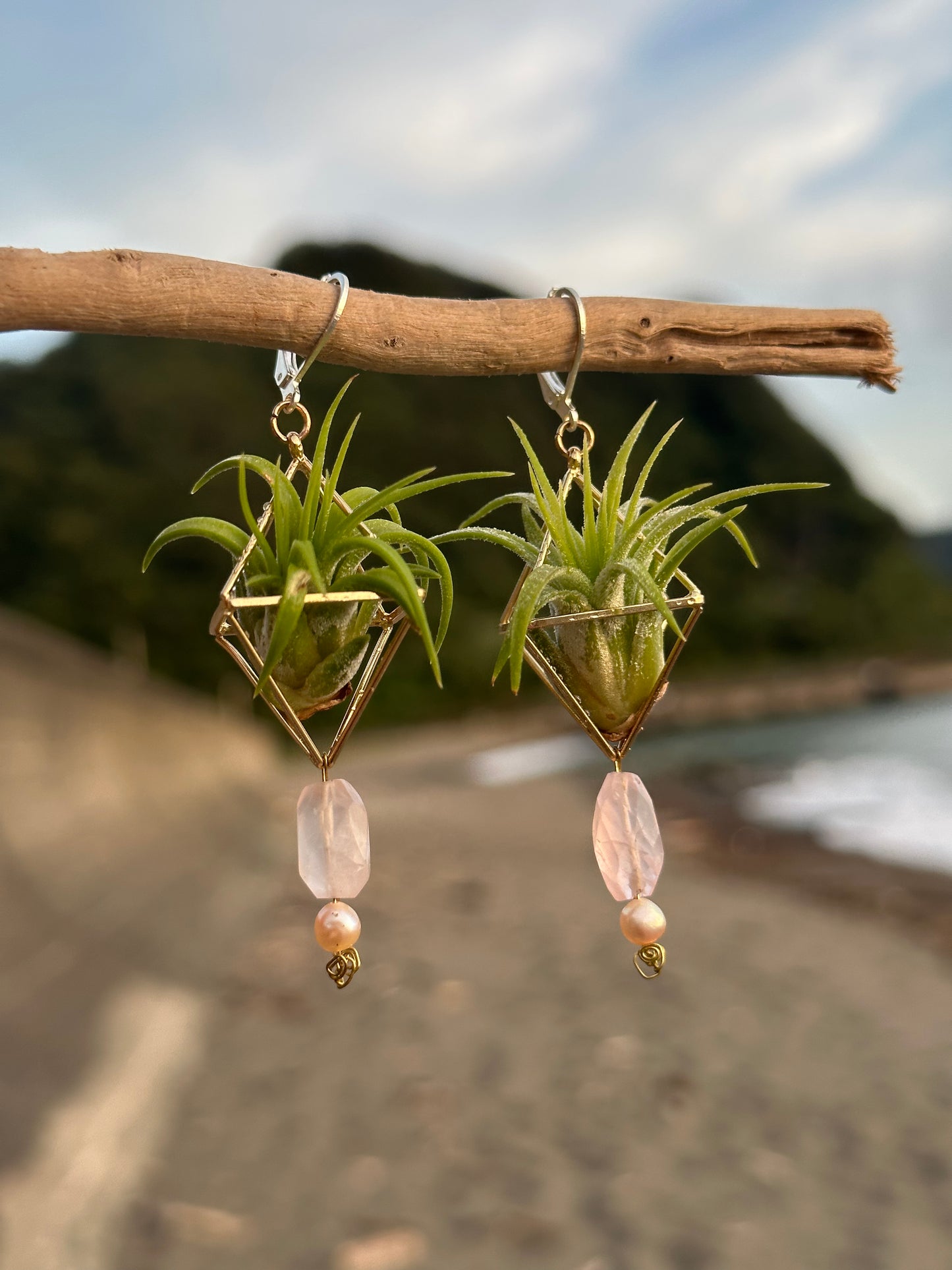Rose Quartz Air Plant Earrings ~ Diamond Octahedron Earrings
