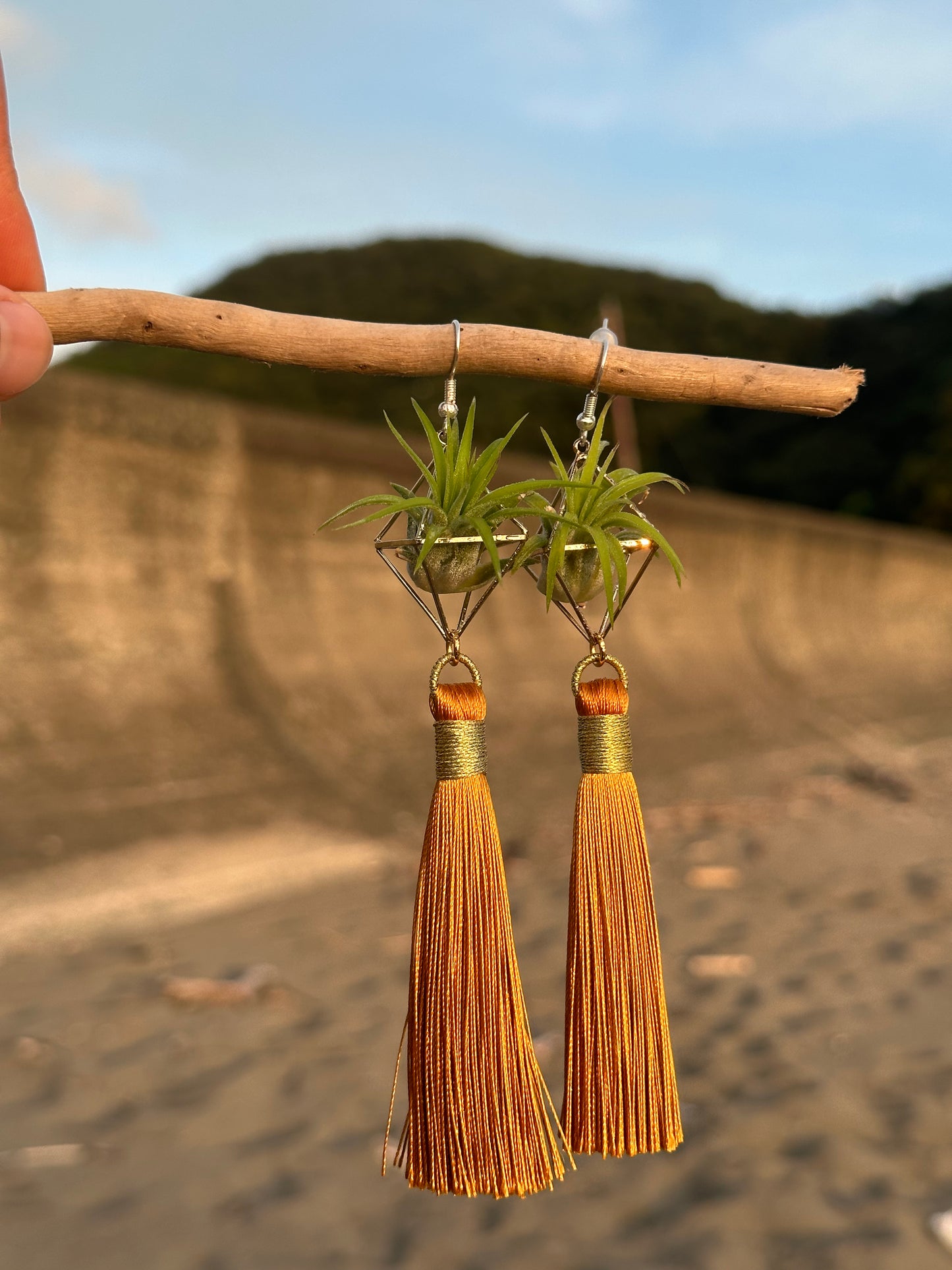 Royal Gold Tassel Air Plant Earrings