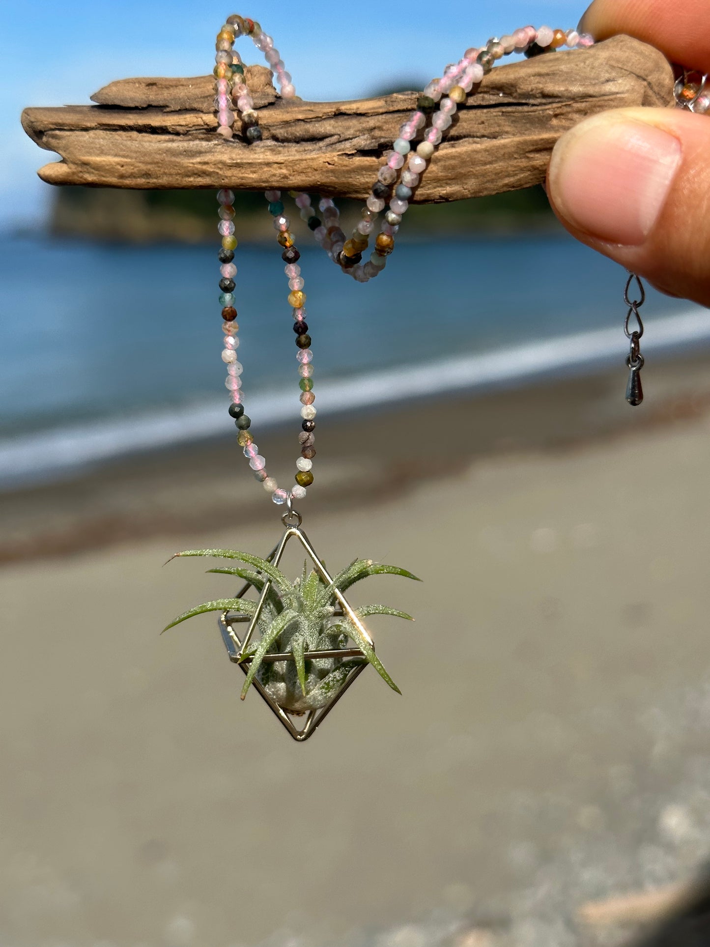 Gemstone Air Plant Pendant
