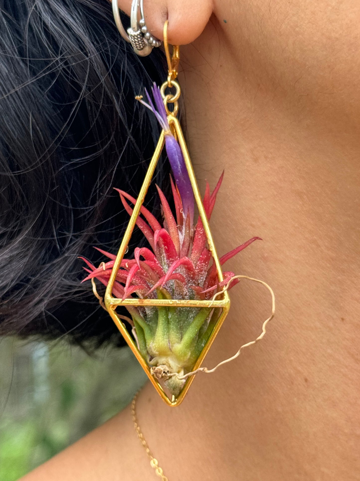 24K Gold Long Tetrahedron Air Plant Earrings ~ Minimalist Geometric Earrings