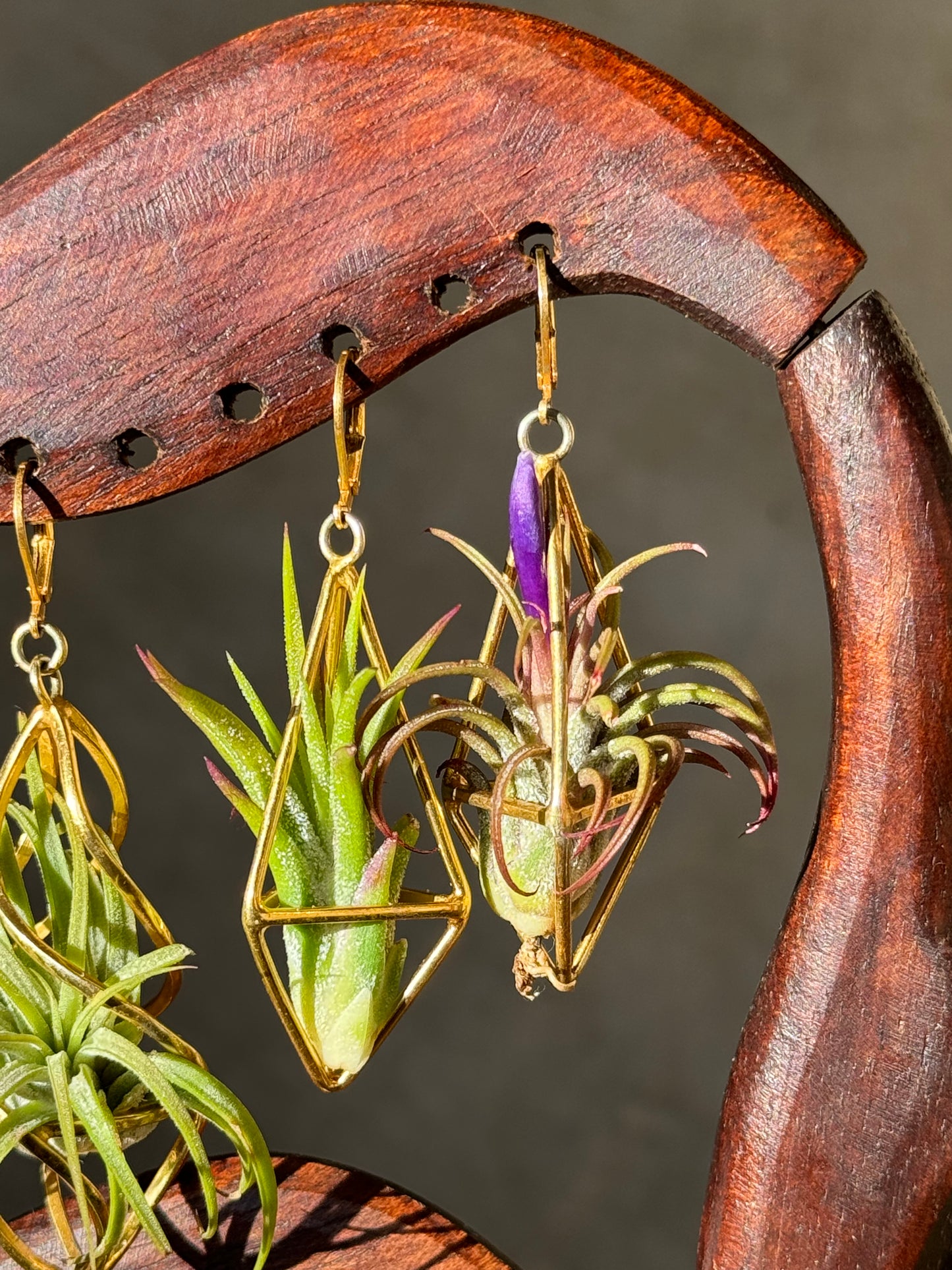 24K Gold Long Tetrahedron Air Plant Earrings ~ Minimalist Geometric Earrings