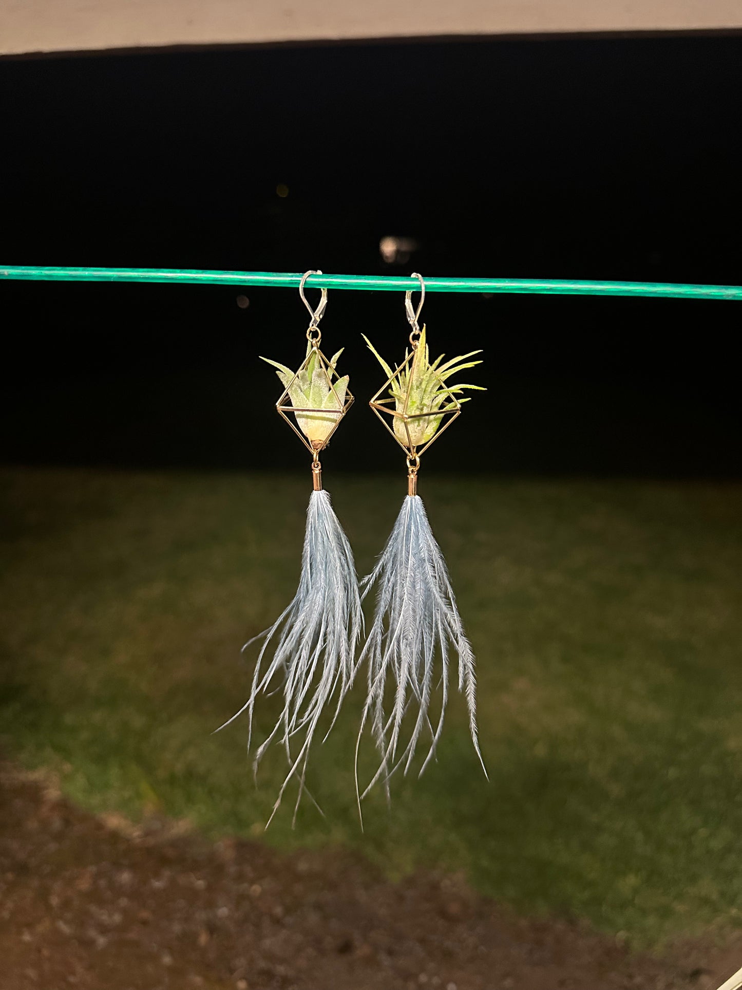 Flying Feather Air Plant Earrings ~ Diamond Octahedron Earrings