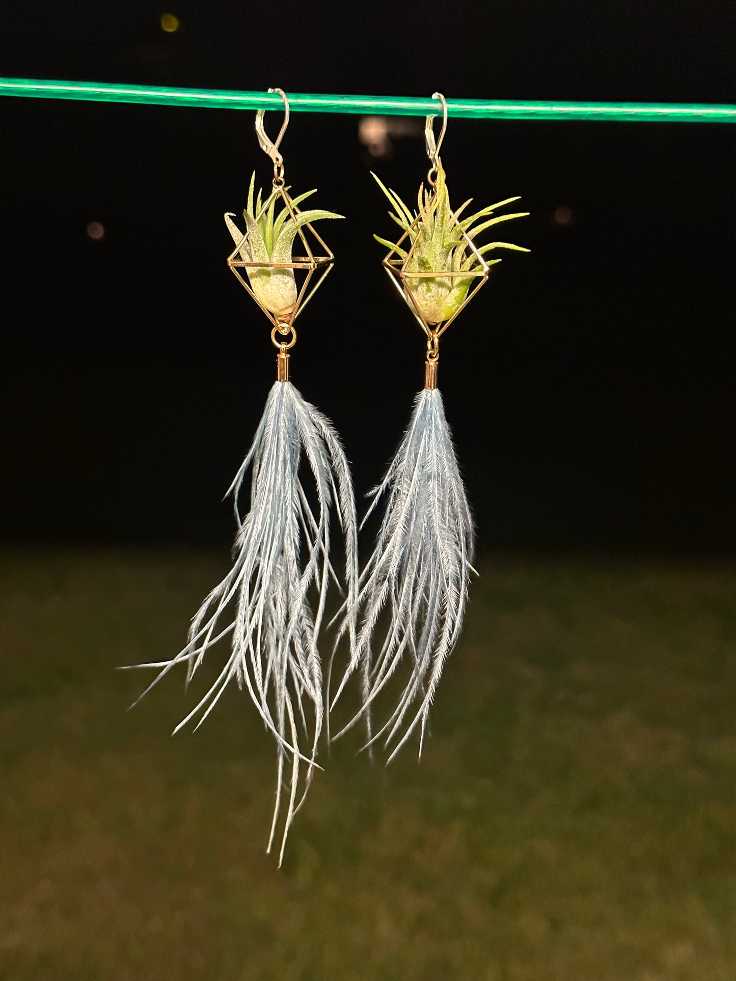 Flying Feather Air Plant Earrings ~ Diamond Octahedron Earrings
