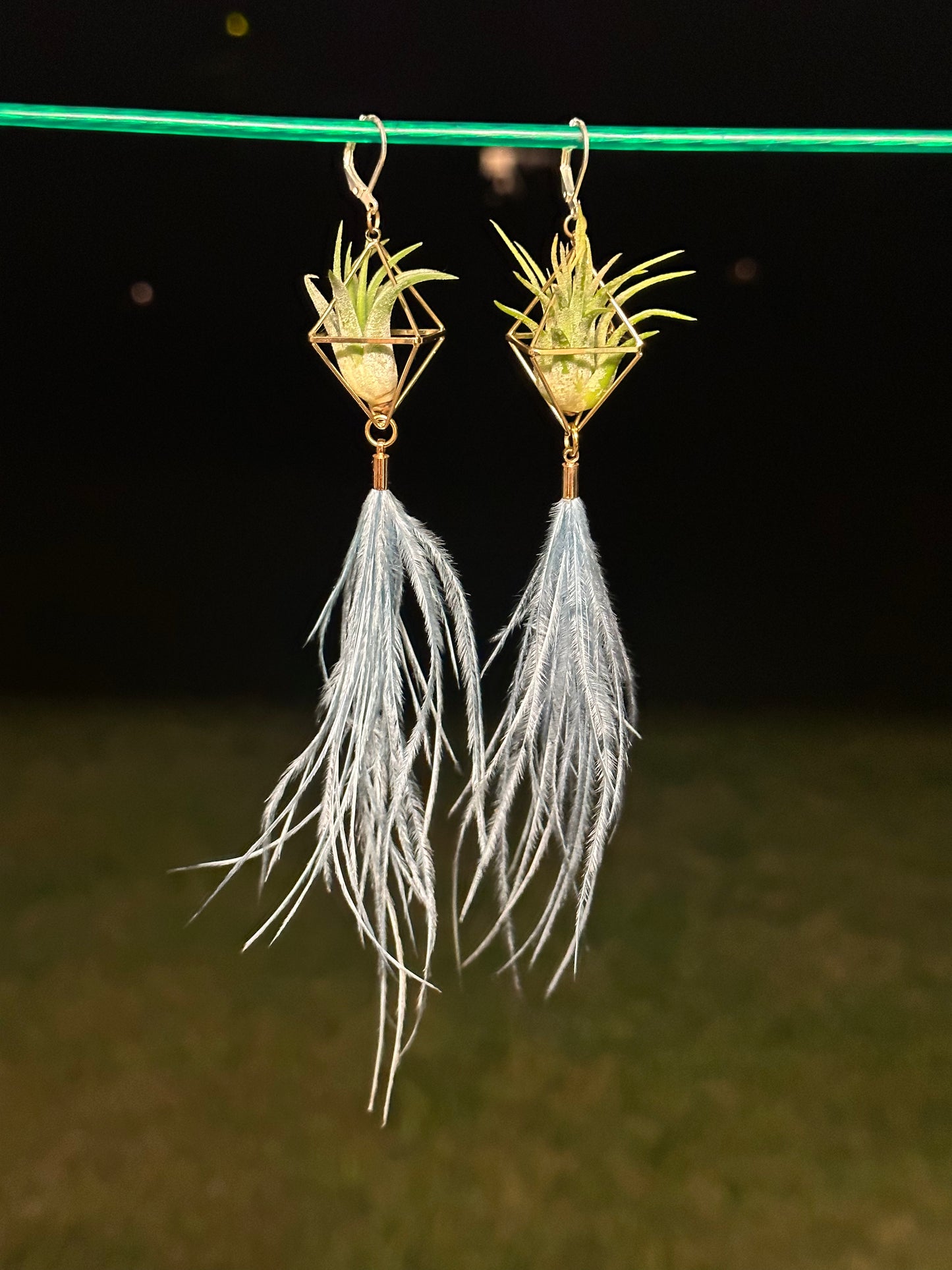 Flying Feather Air Plant Earrings ~ Diamond Octahedron Earrings