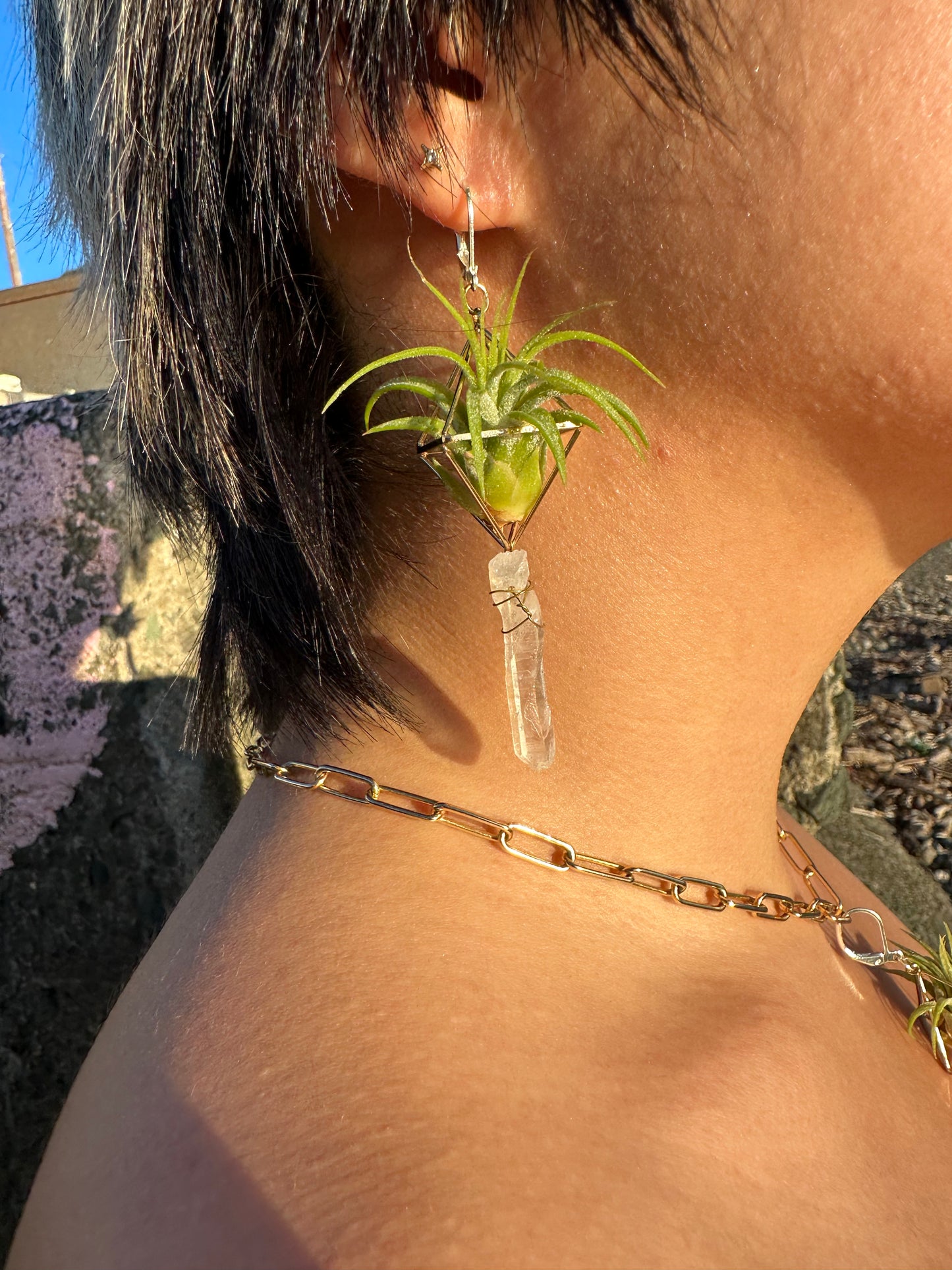 Quartz Crystal Point Air Plant Earrings