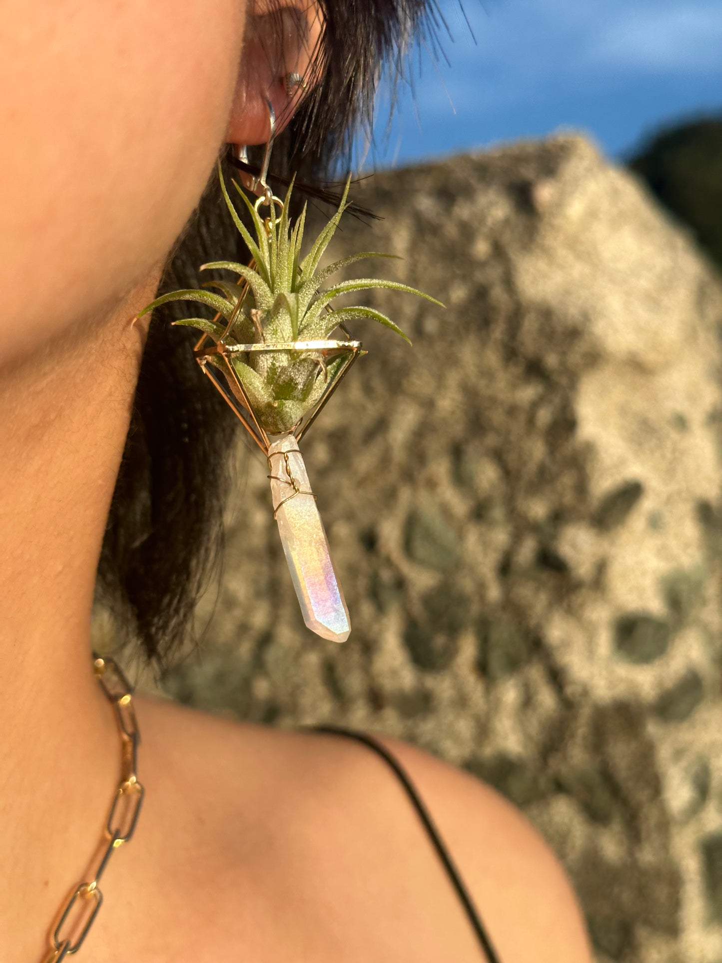 Quartz Crystal Point Air Plant Earrings