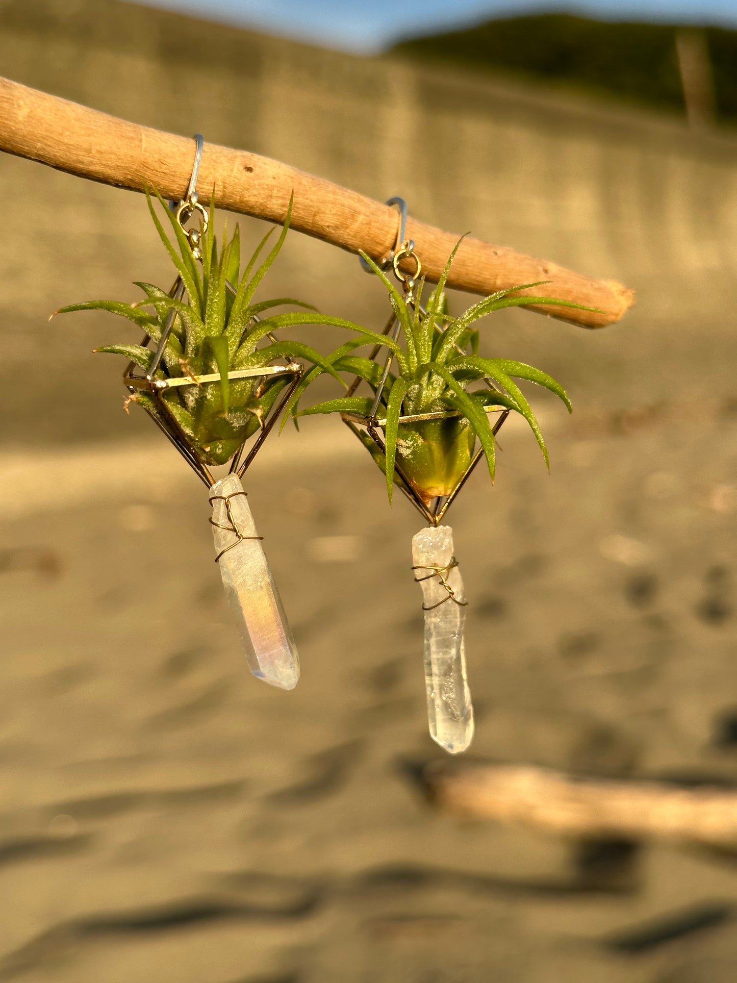 Quartz Crystal Point Air Plant Earrings