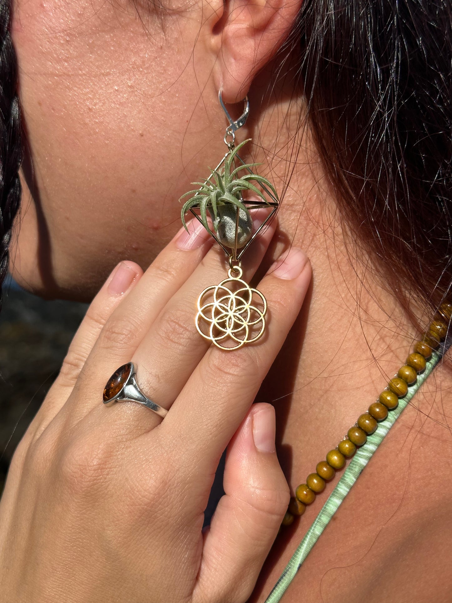 Flower of Life Air Plant Earrings