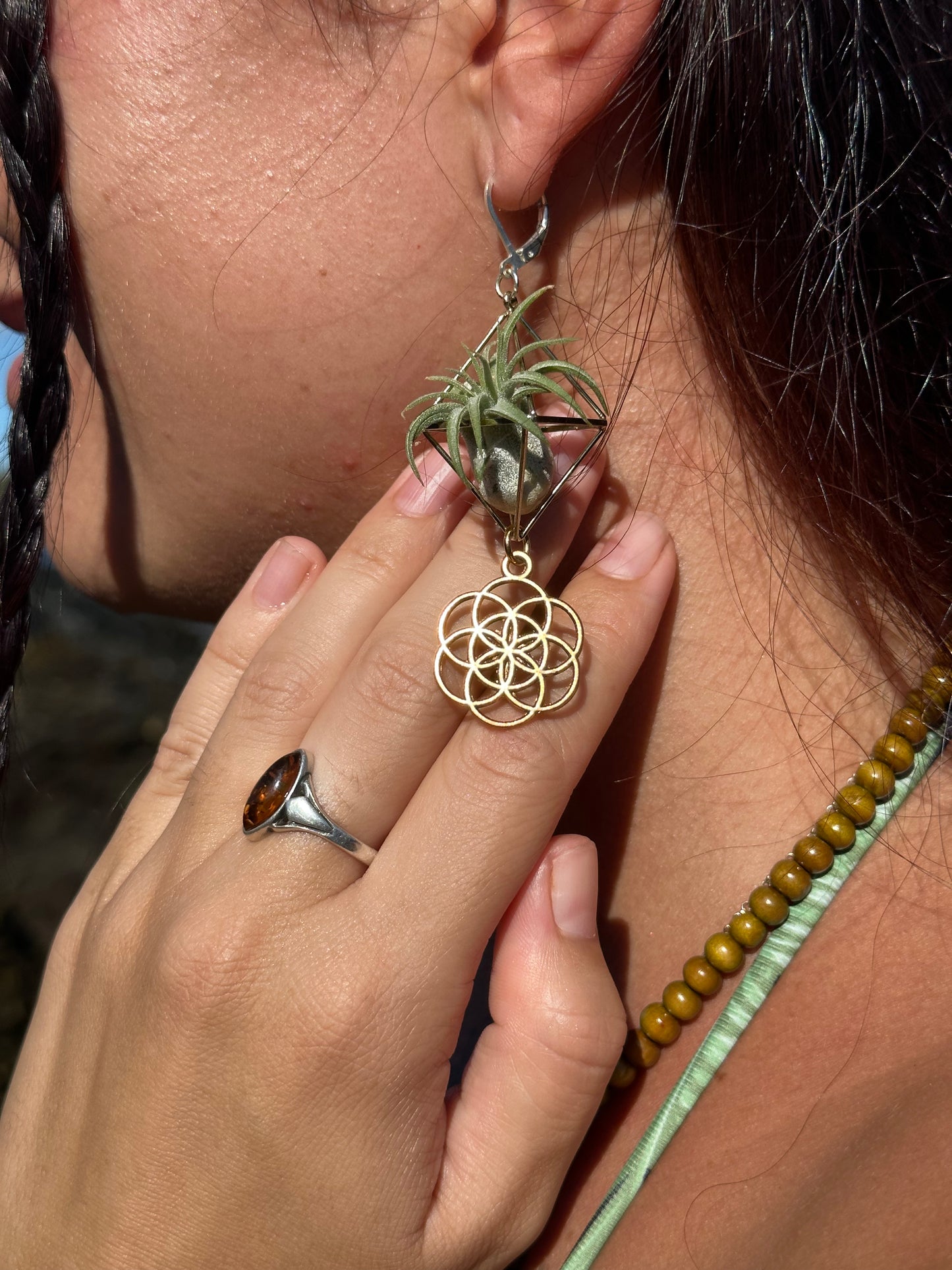 Flower of Life Air Plant Earrings