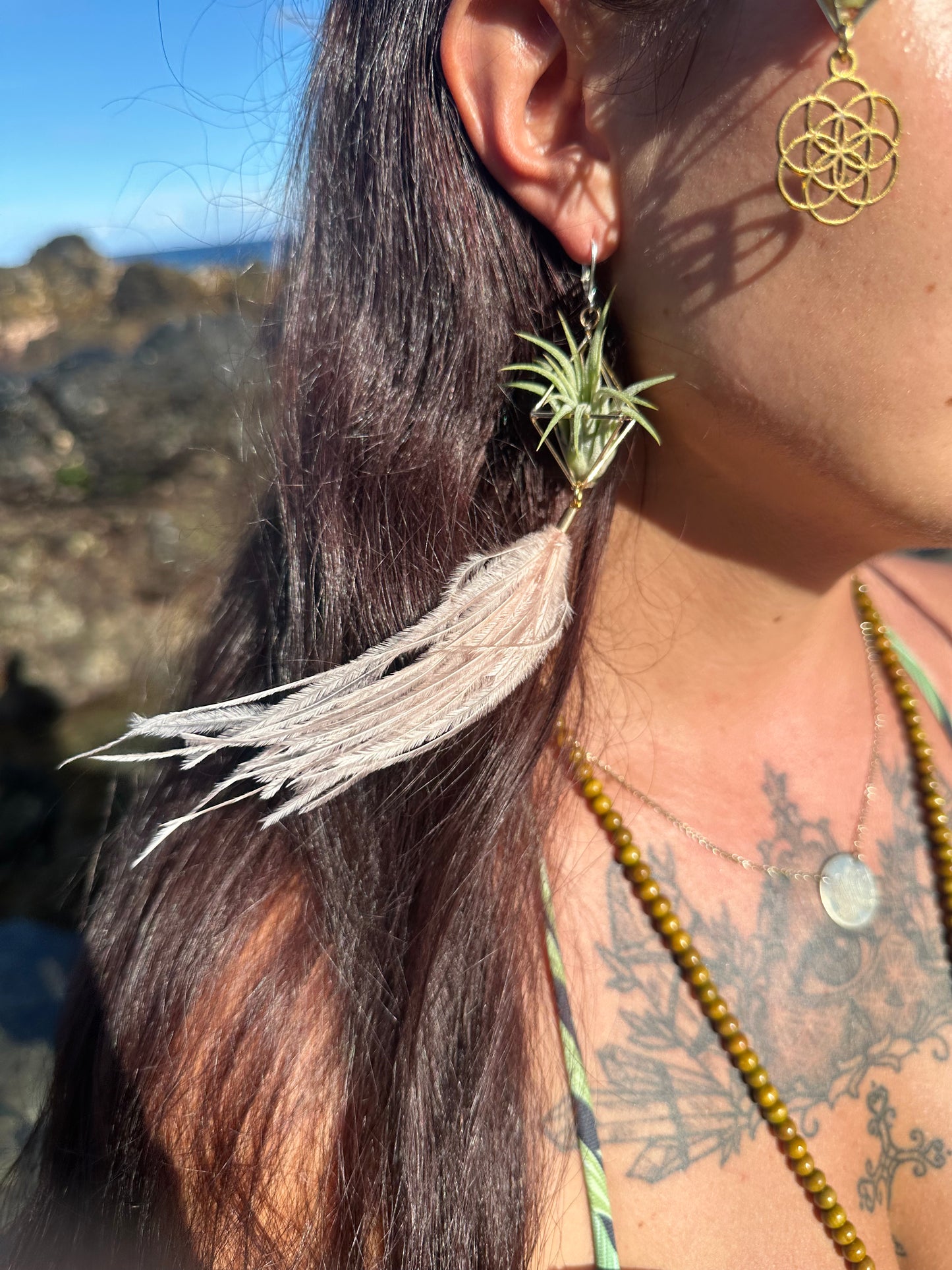 Flying Feather Air Plant Earrings ~ Diamond Octahedron Earrings